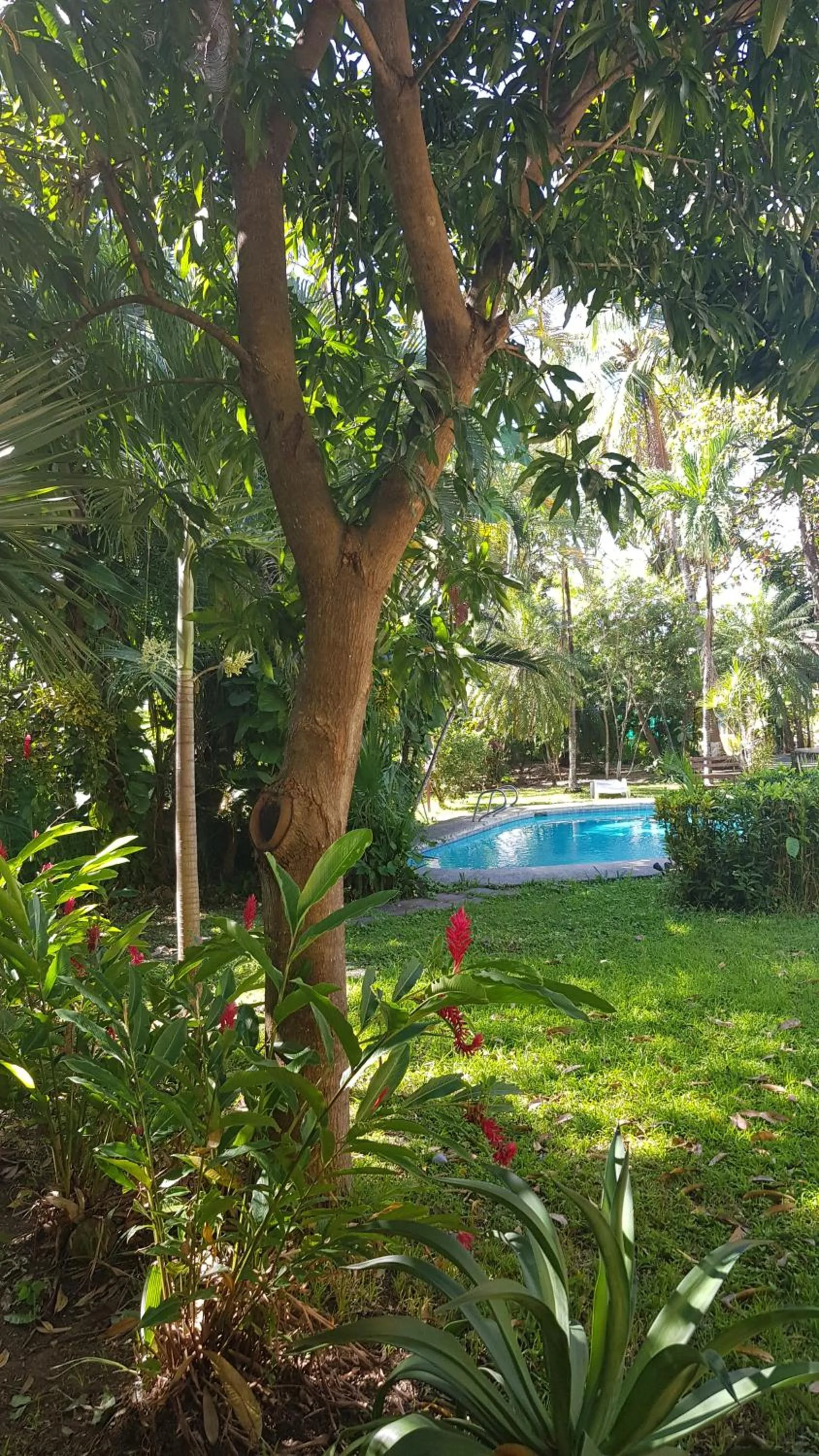 Pool view in Samara Beach Hotel