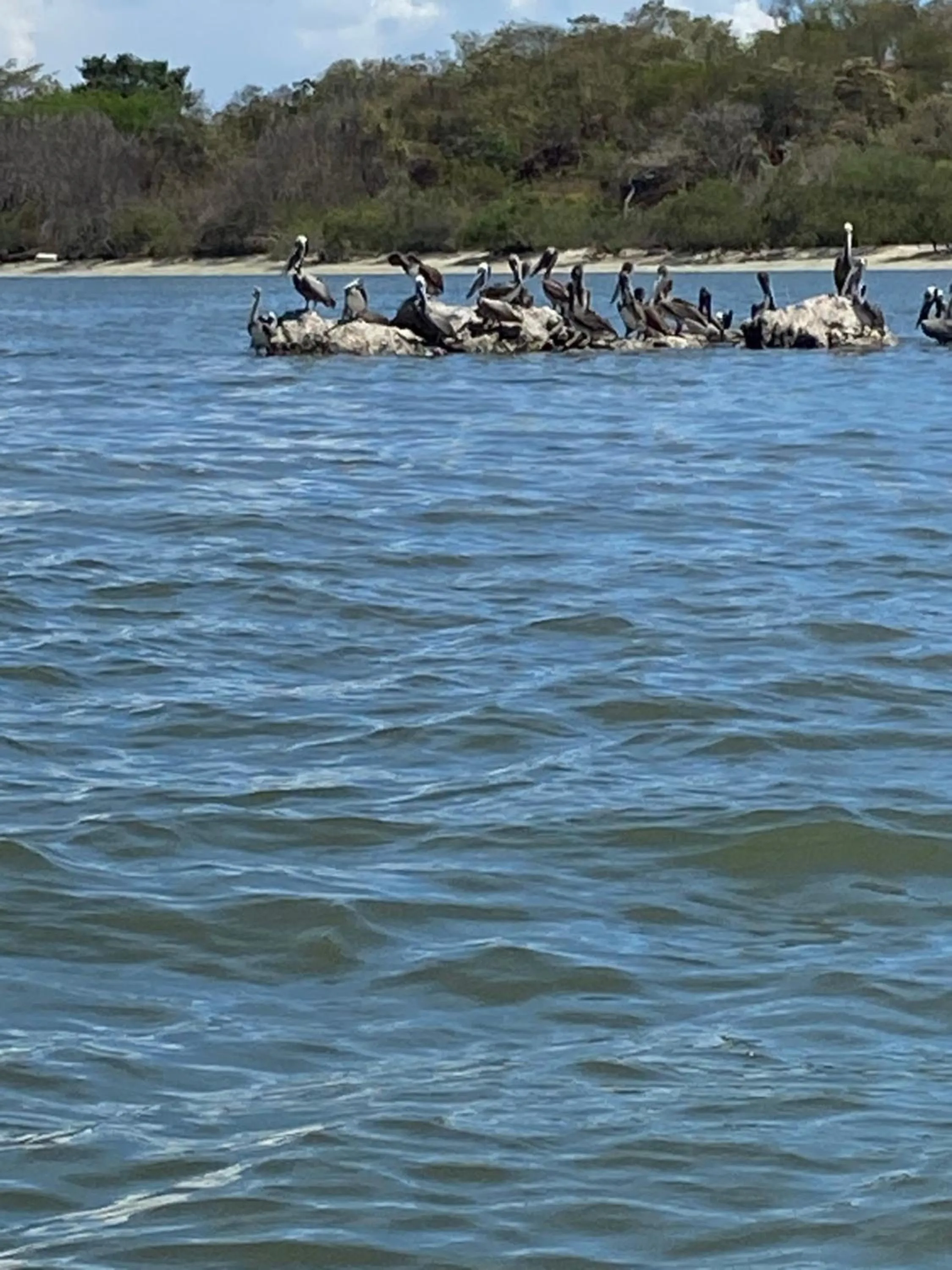 Natural landscape in Samara Beach Hotel