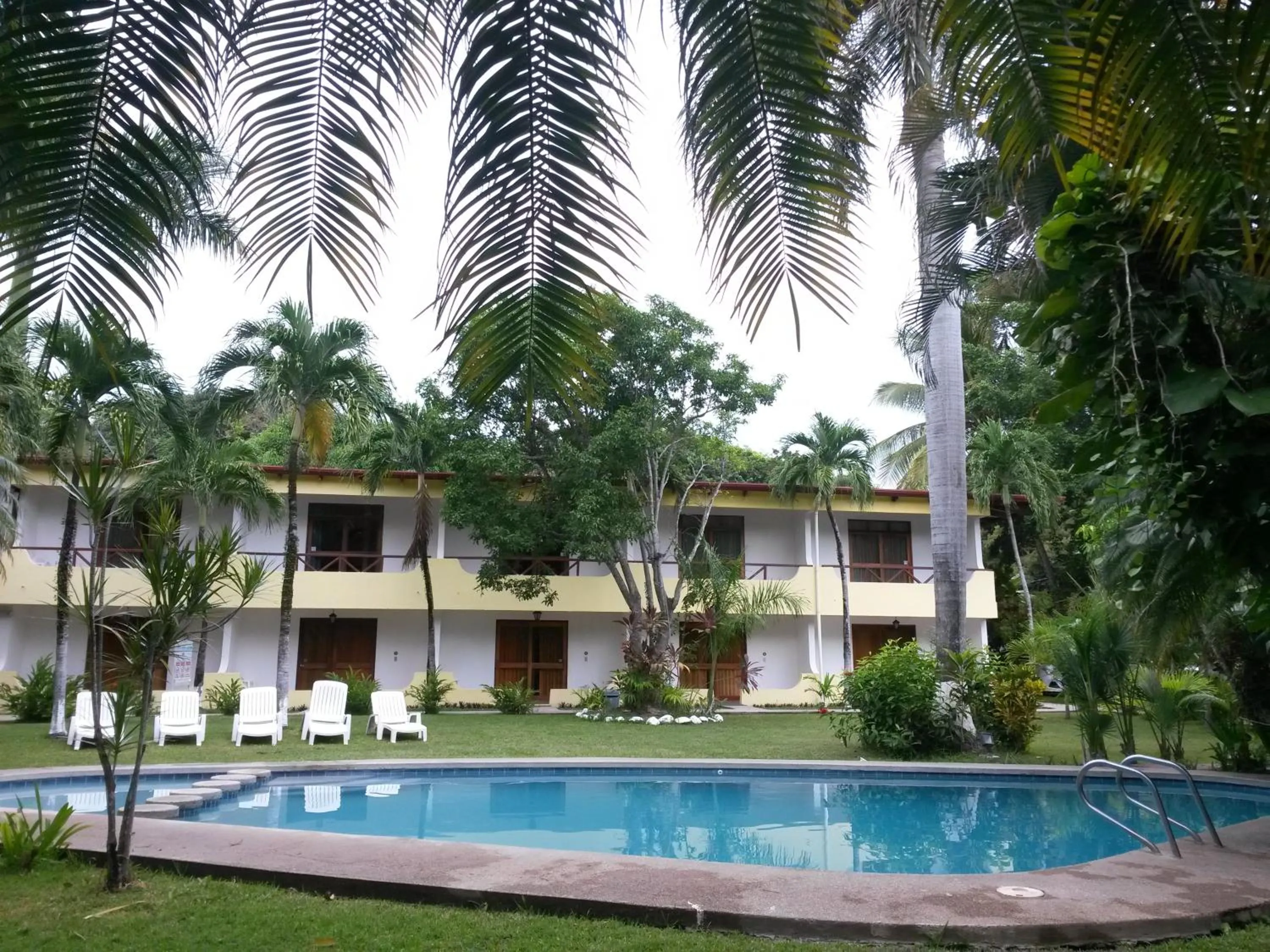Garden in Samara Beach Hotel