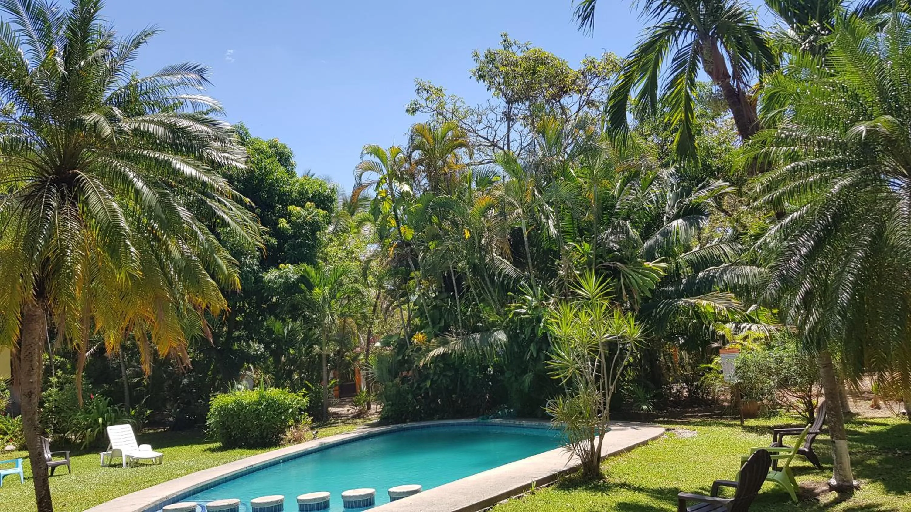 Natural landscape in Samara Beach Hotel