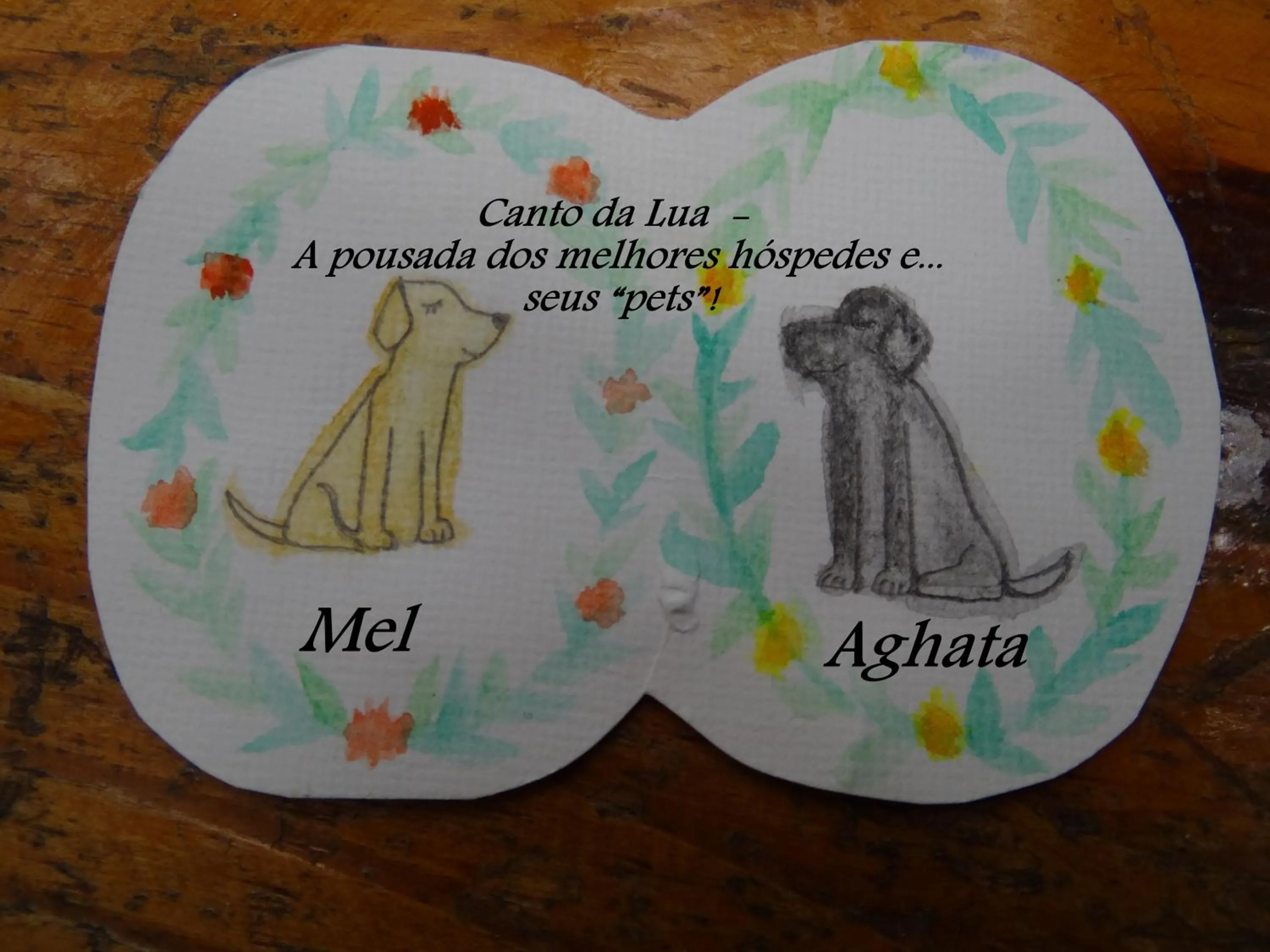 Pets in Pousada Canto da Lua