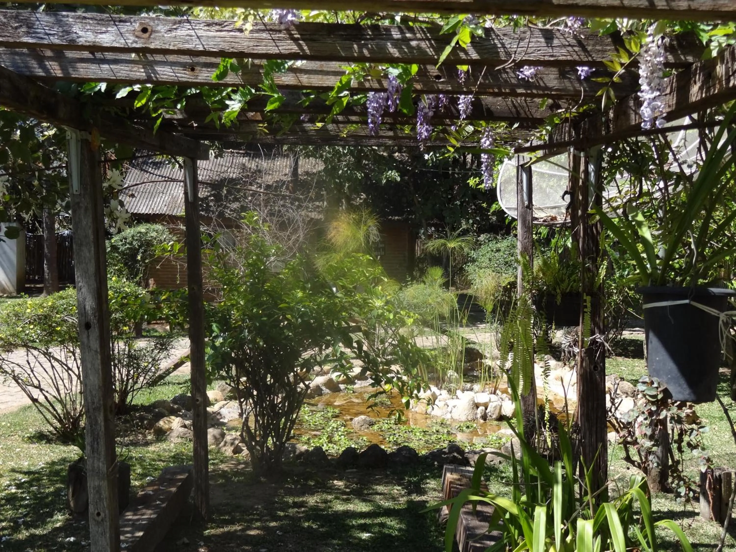 Garden view in Pousada Canto da Lua