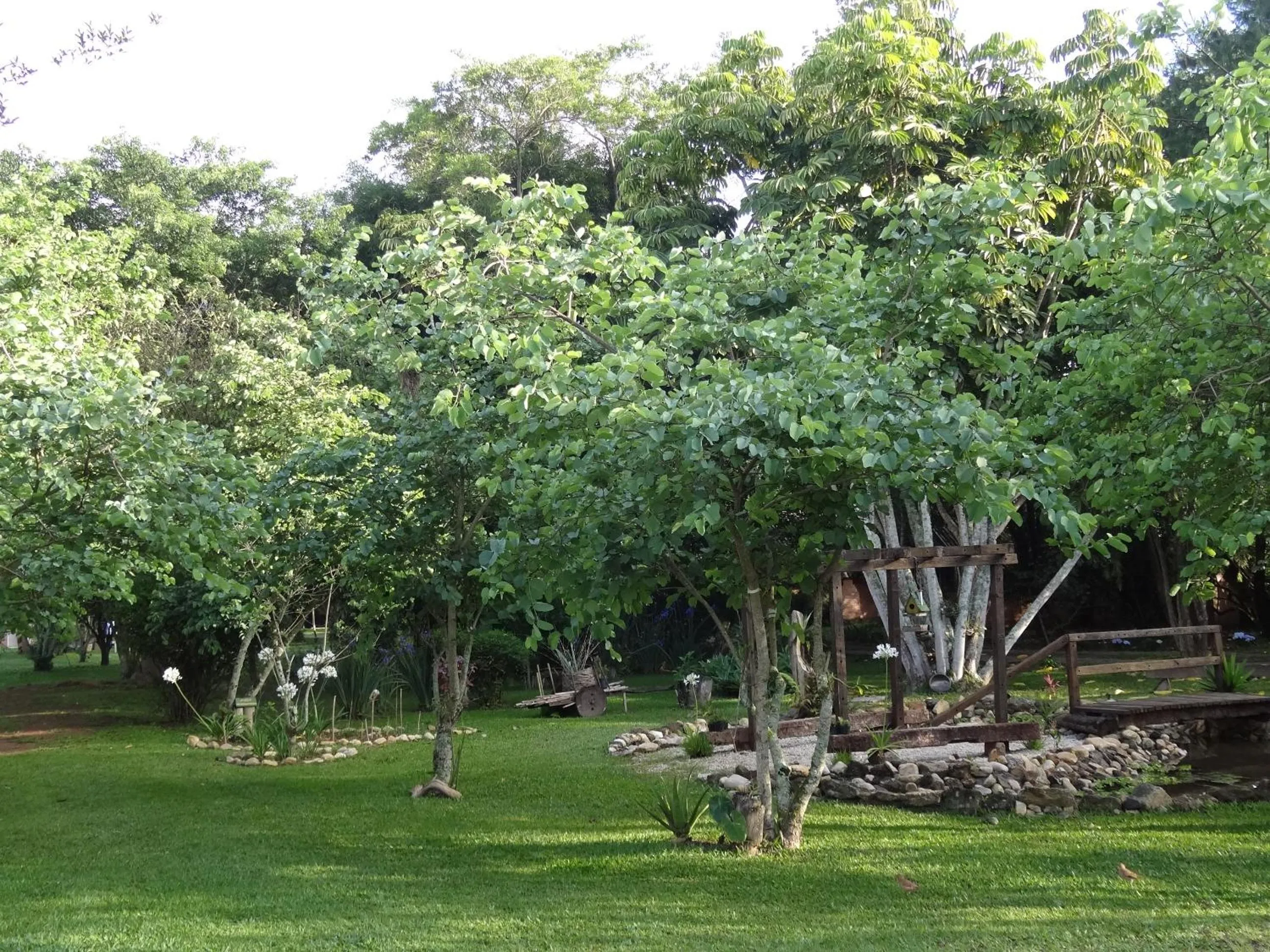 Garden view in Pousada Canto da Lua