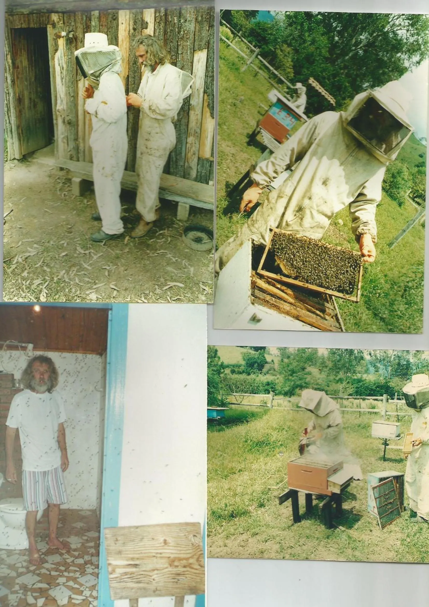 Activities in Pousada Canto da Lua