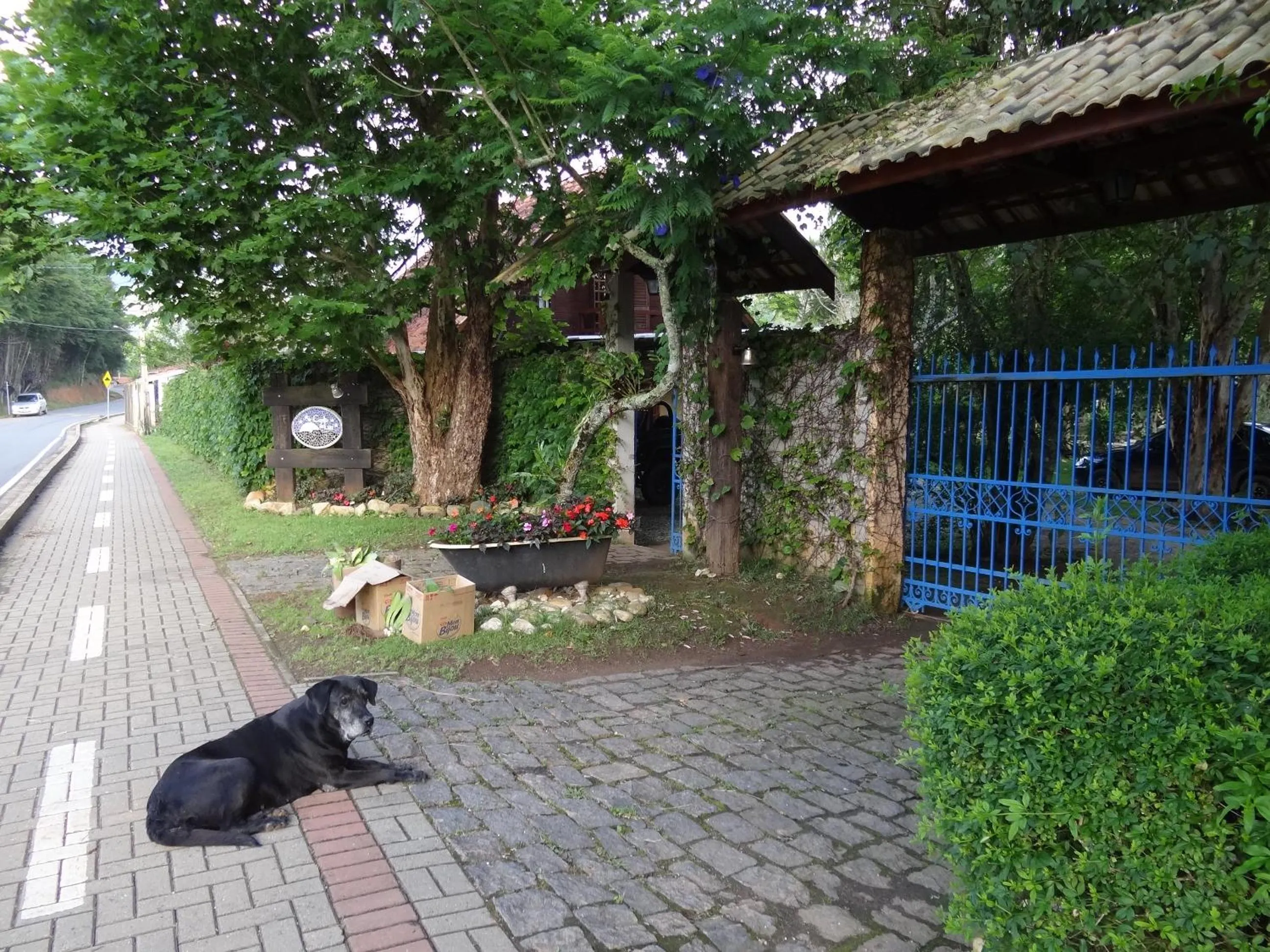 Pets in Pousada Canto da Lua