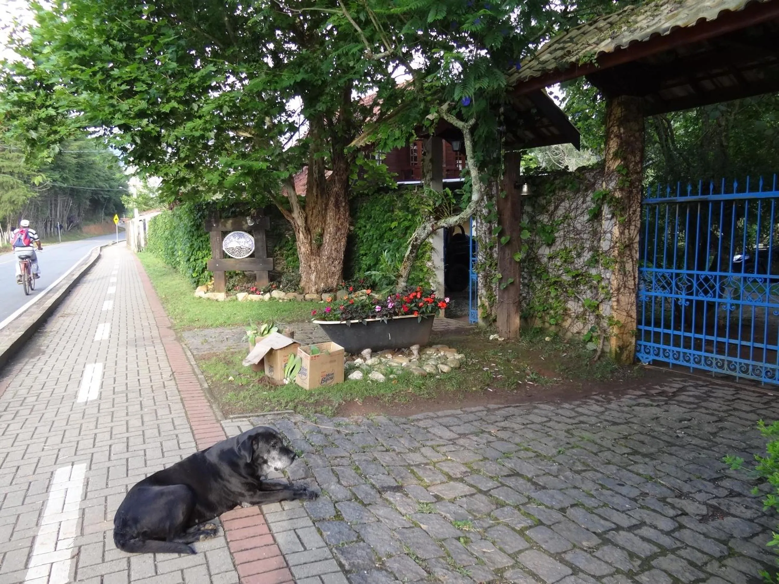 Pets in Pousada Canto da Lua