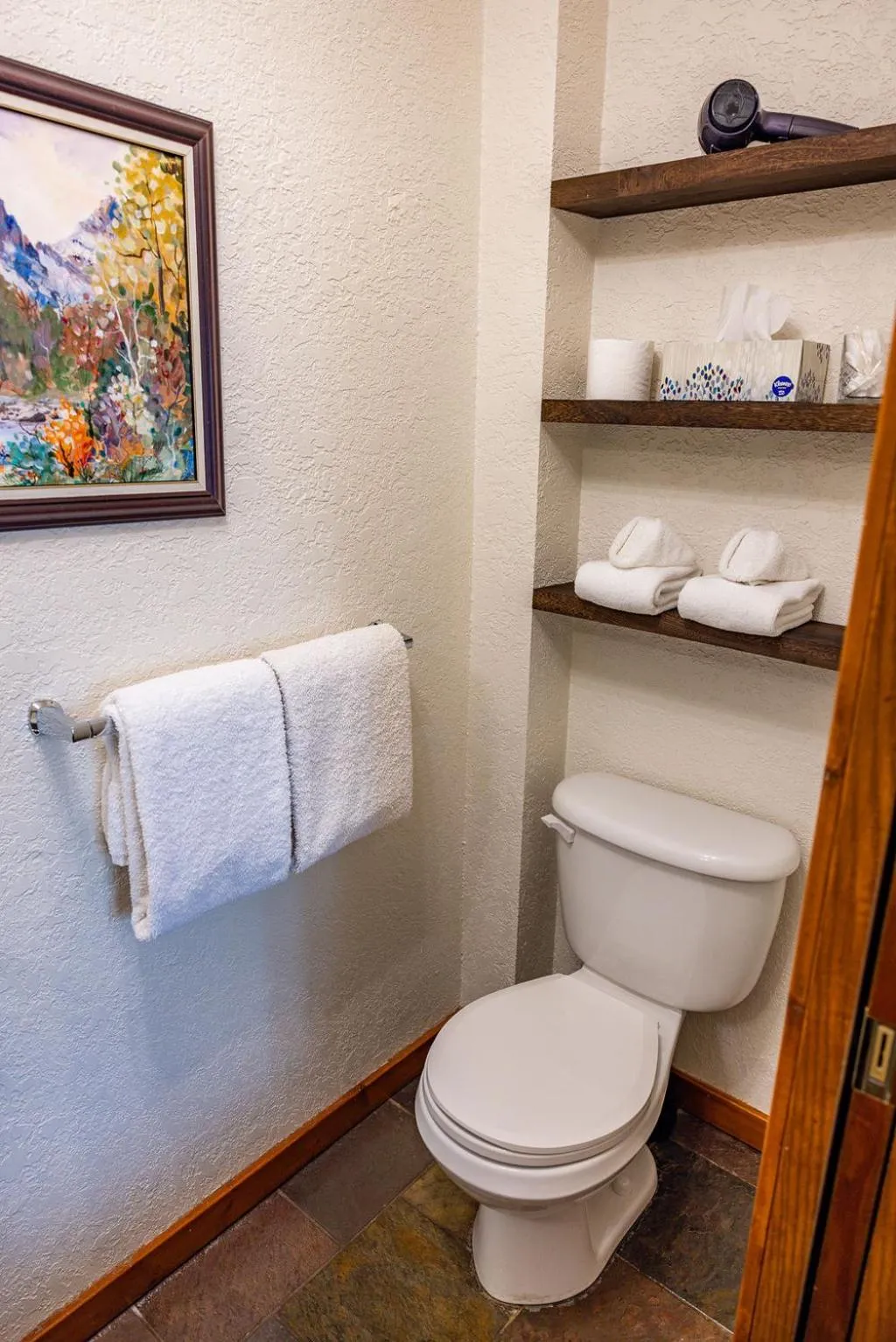 Toilet in A Bear and Bison Country Inn