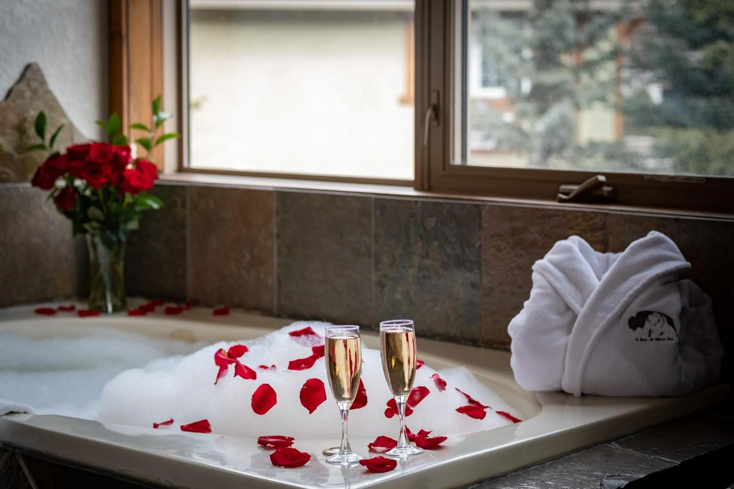 Bath in A Bear and Bison Country Inn
