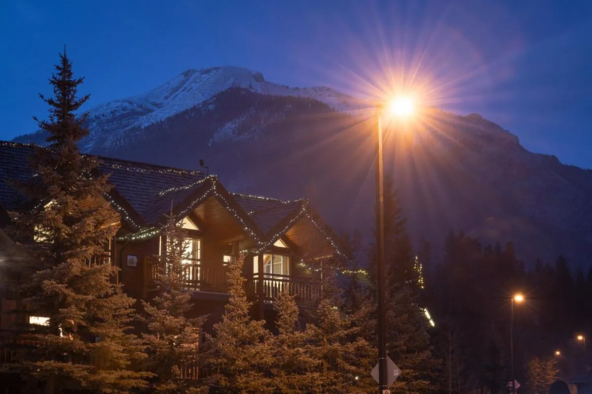 Night in A Bear and Bison Country Inn