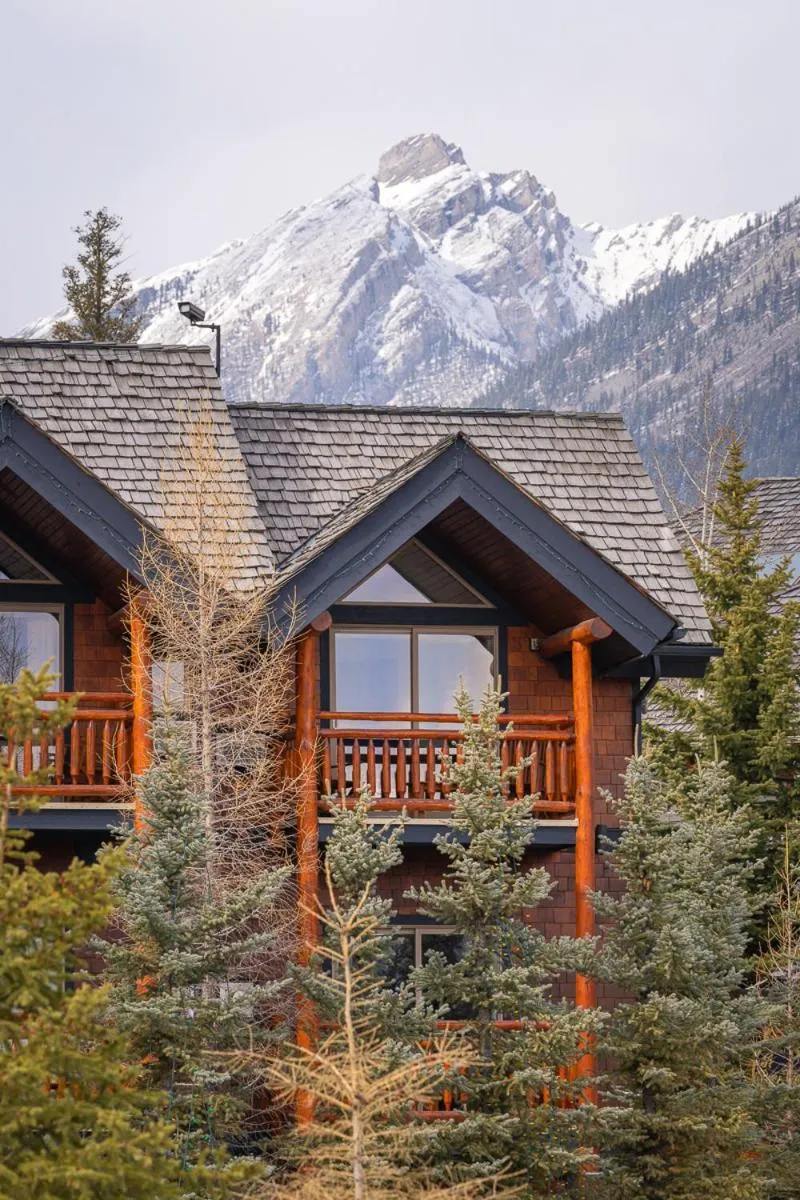 View (from property/room) in A Bear and Bison Country Inn