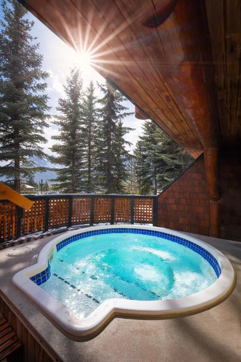 Hot Tub in A Bear and Bison Country Inn