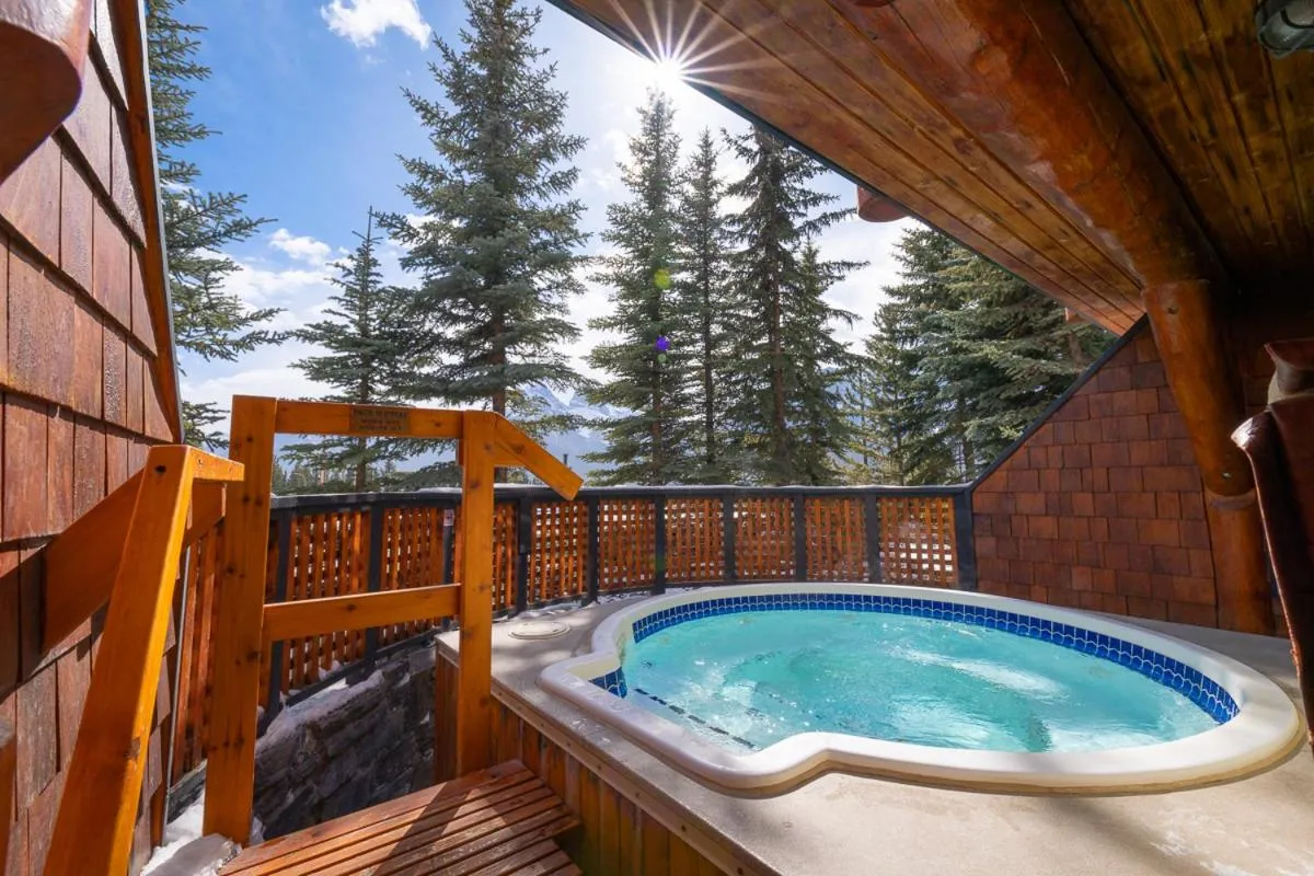 Hot Tub in A Bear and Bison Country Inn