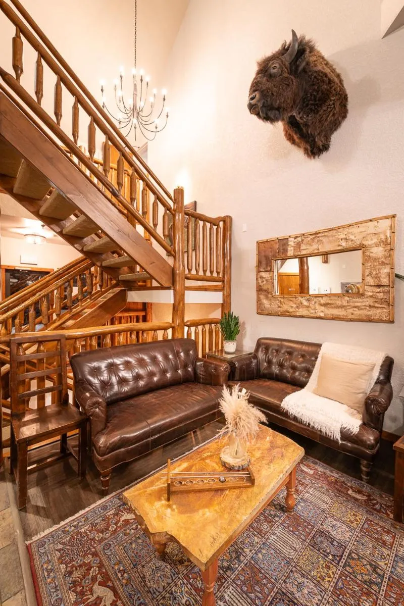 Library in A Bear and Bison Country Inn