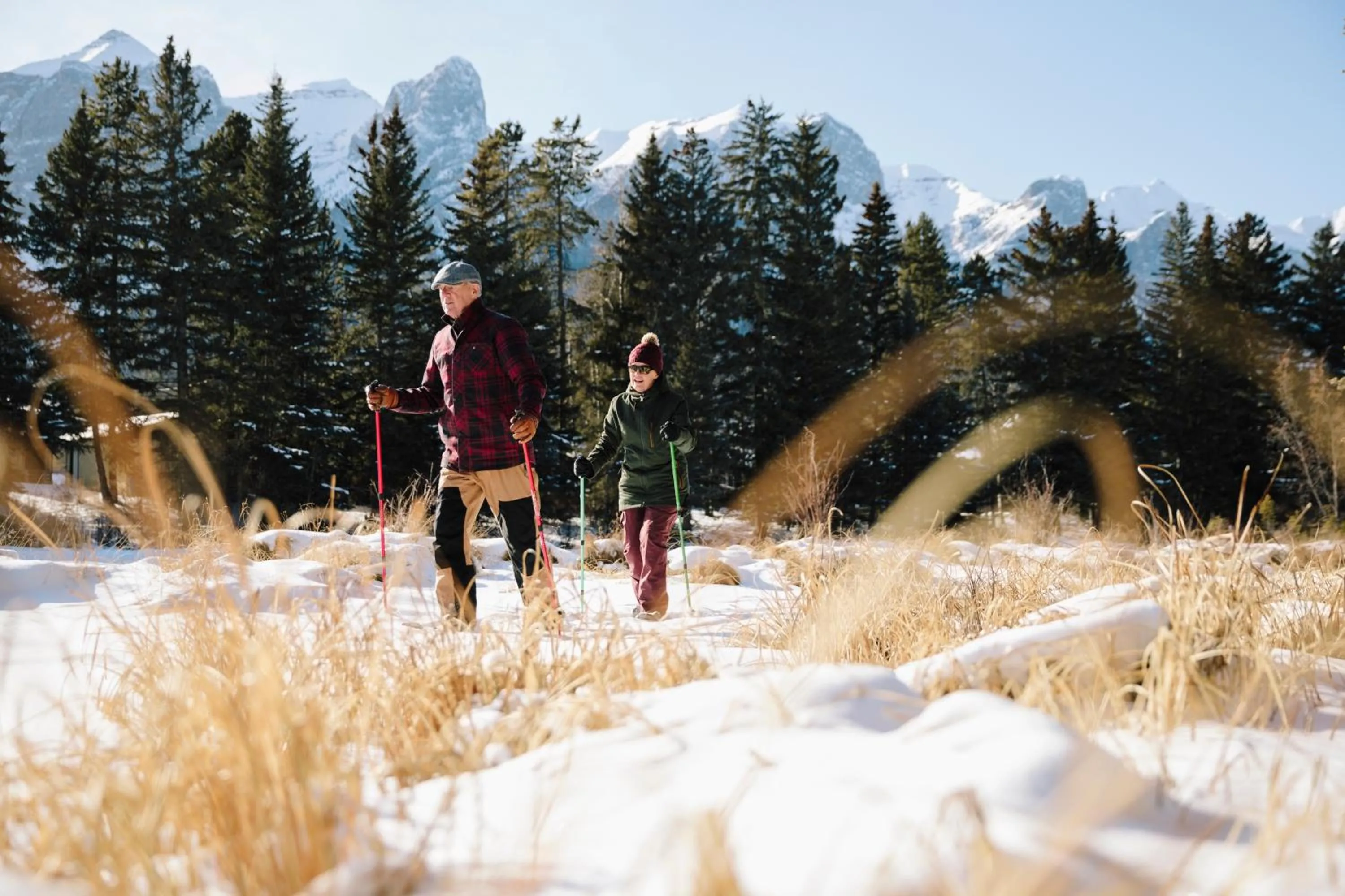 Activities in A Bear and Bison Country Inn