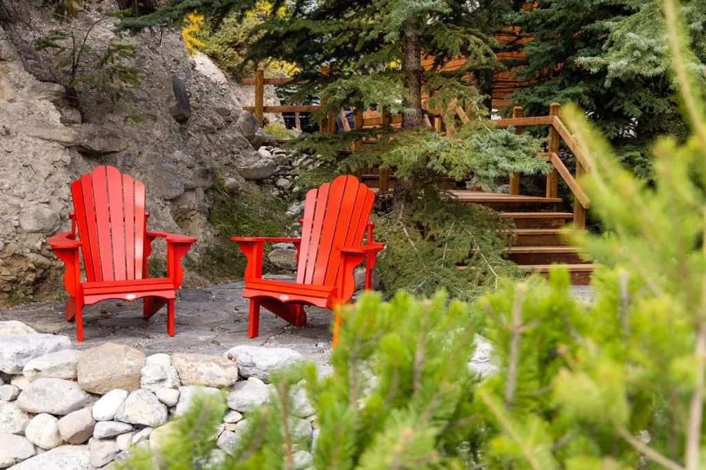 Garden in A Bear and Bison Country Inn