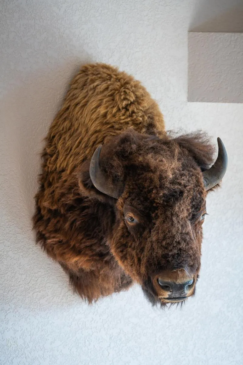 Decorative detail in A Bear and Bison Country Inn