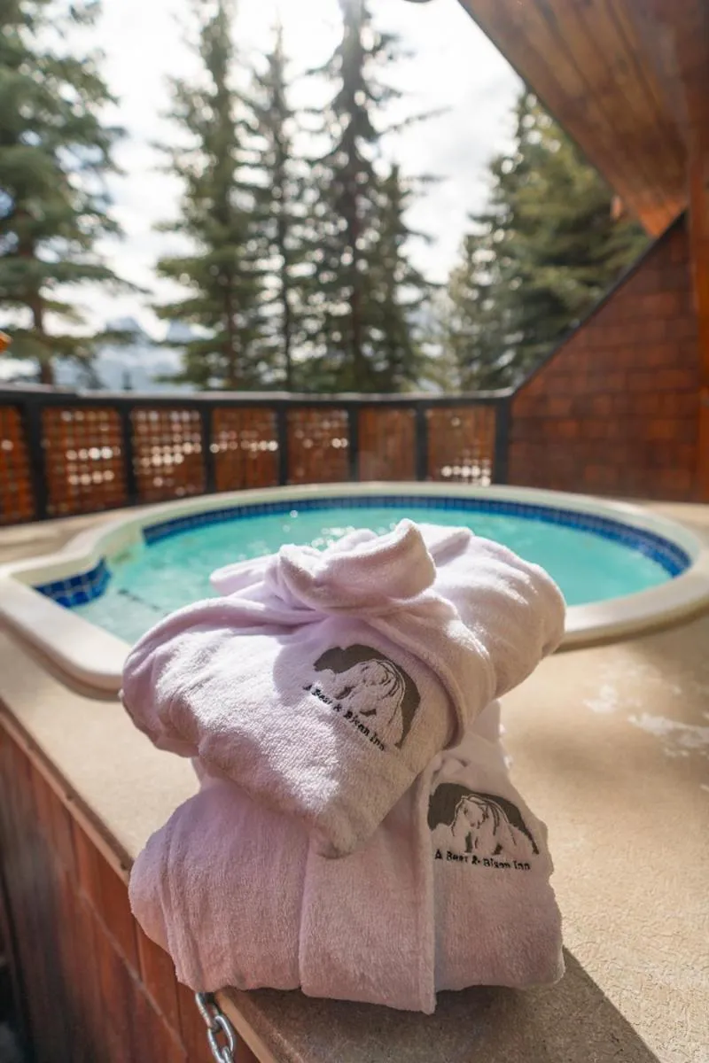 Hot Tub in A Bear and Bison Country Inn