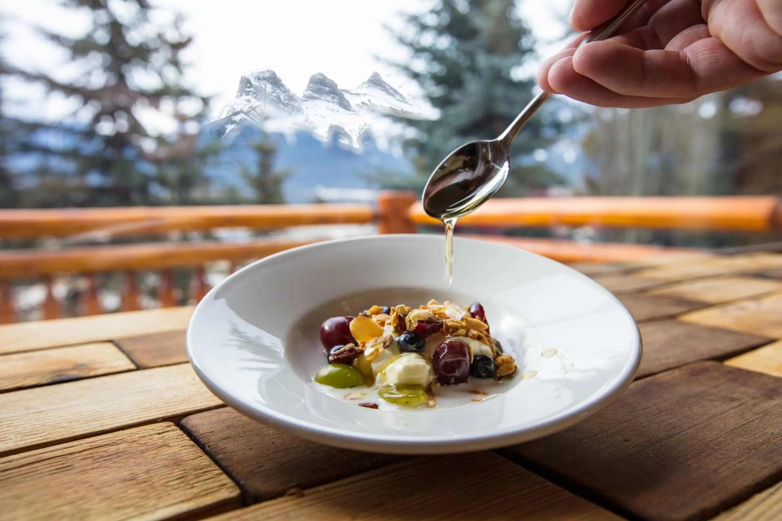 Food close-up in A Bear and Bison Country Inn