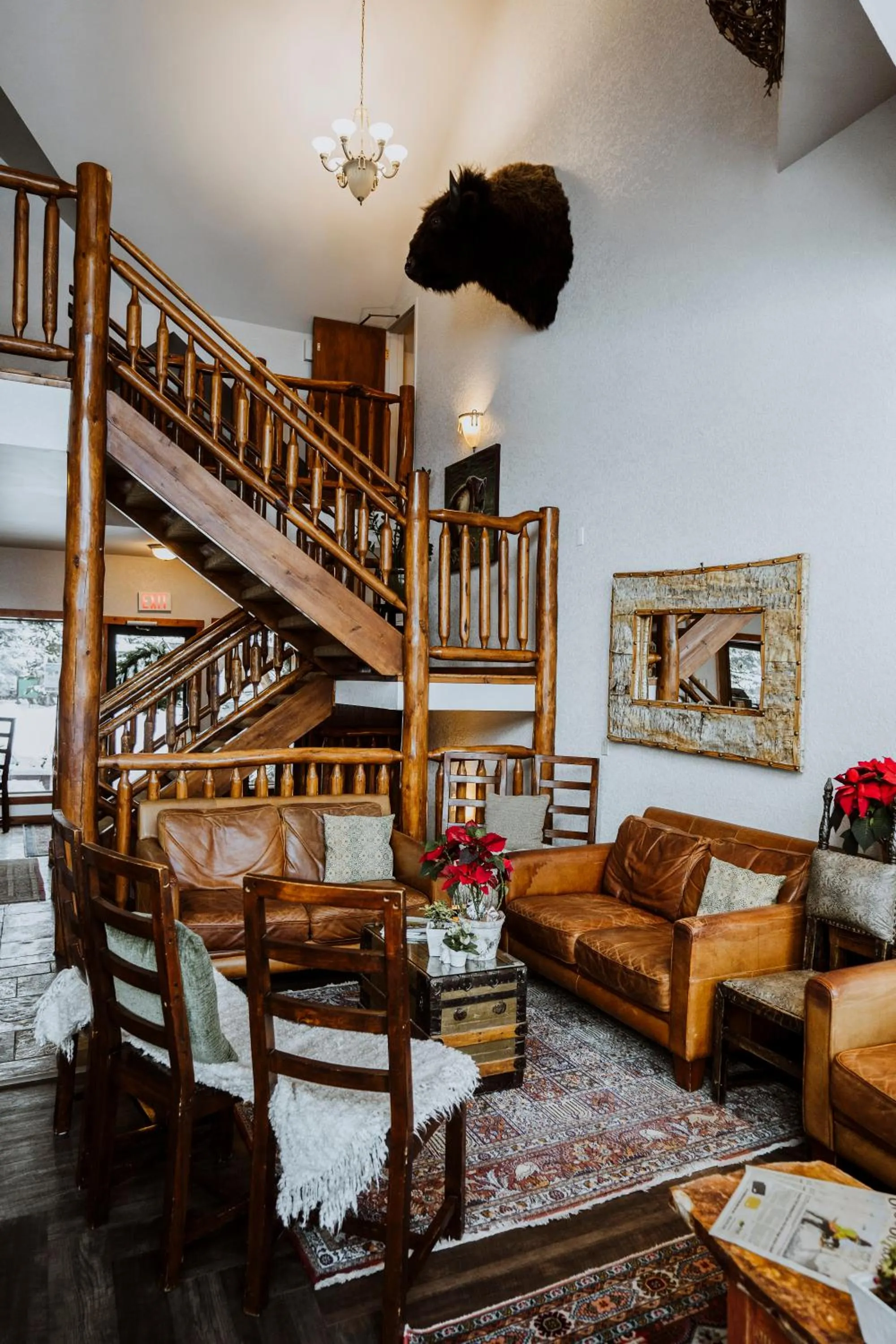 Library in A Bear and Bison Country Inn