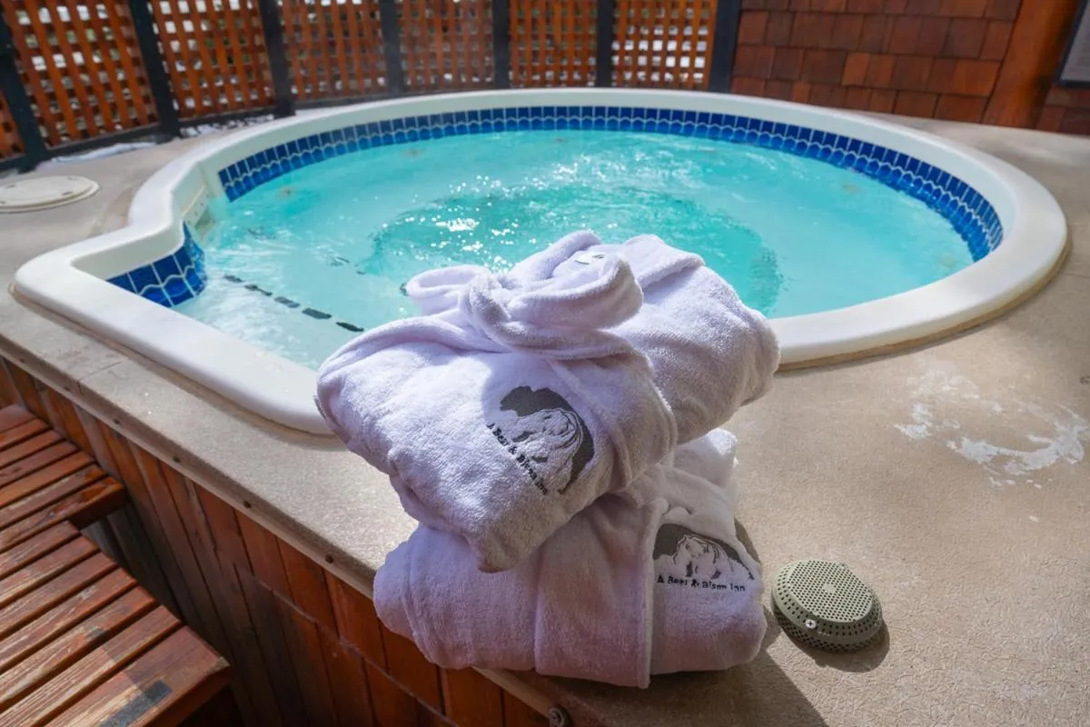 Hot Tub in A Bear and Bison Country Inn