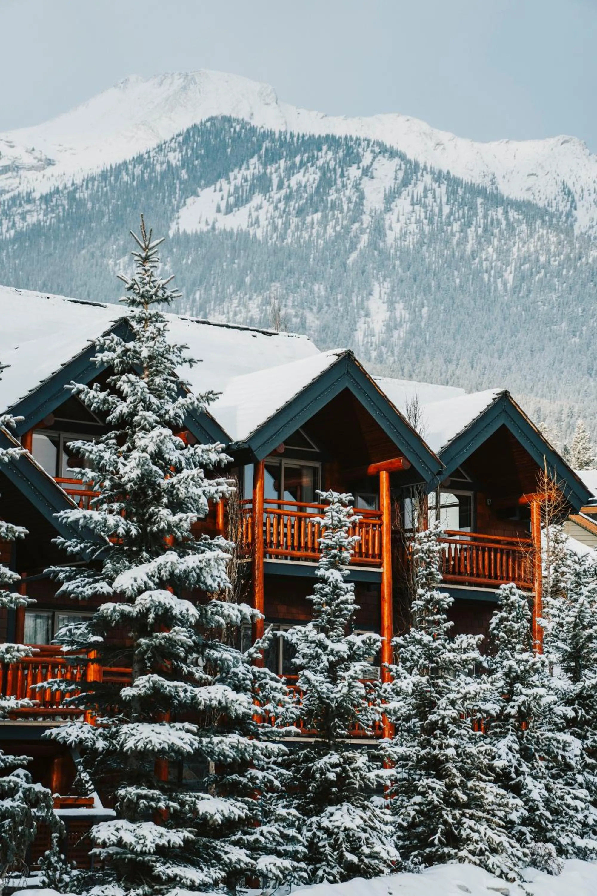 Property building in A Bear and Bison Country Inn