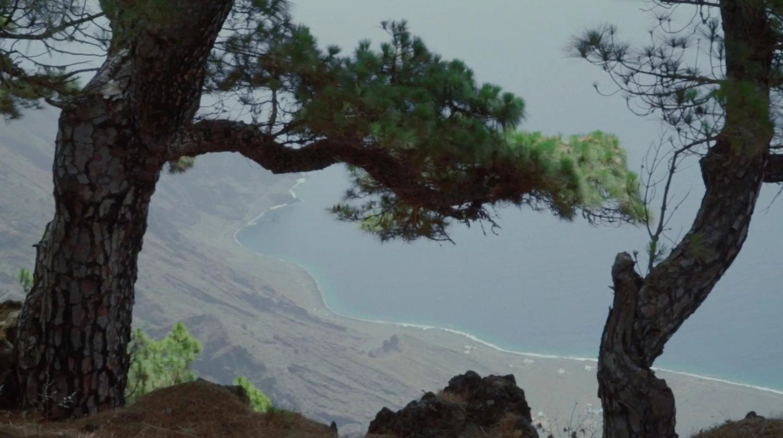 Natural landscape in Sur Restinga