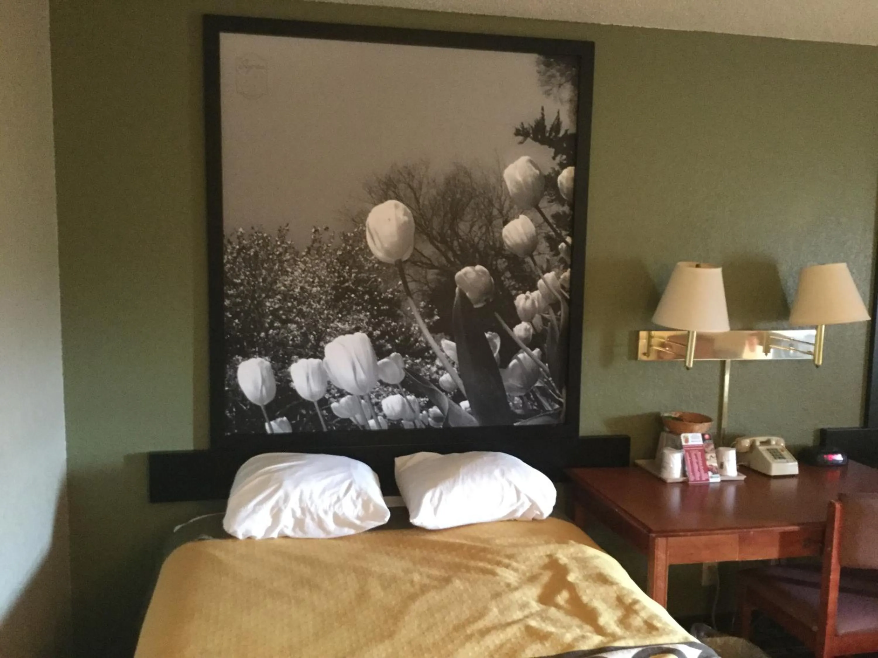 Bed in Super 8 by Wyndham Youngstown/Austintown