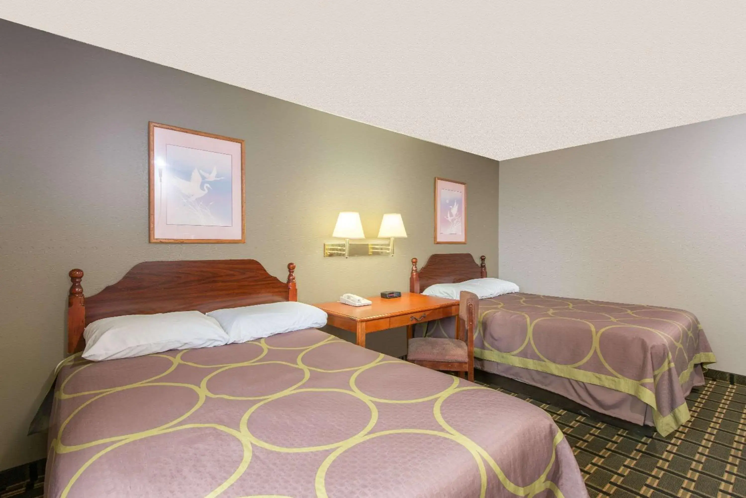 Photo of the whole room, Bed in Super 8 by Wyndham Youngstown/Austintown Photo of the whole room, Bed in Super 8 by Wyndham Youngstown/Austintown