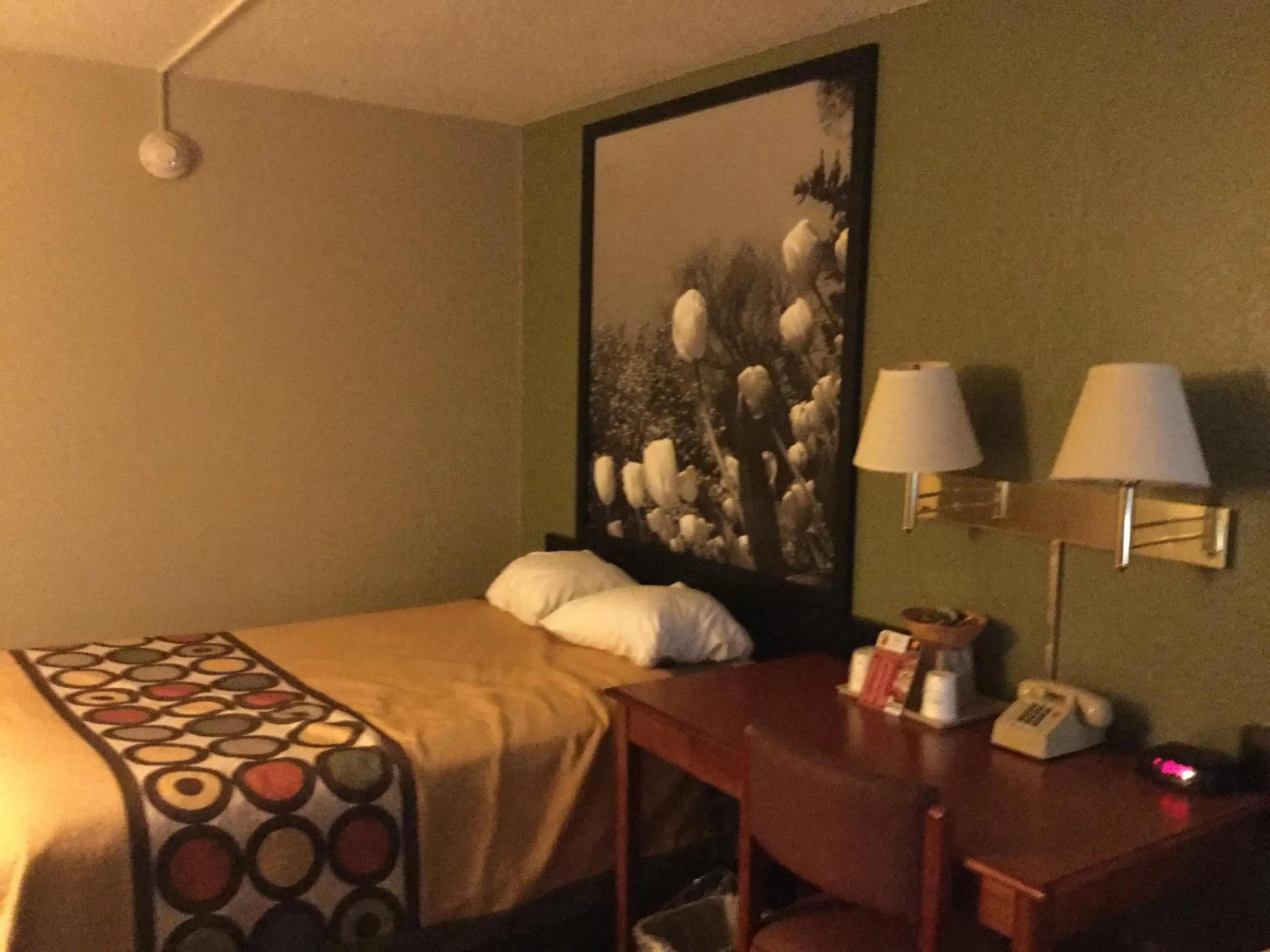 Bed in Super 8 by Wyndham Youngstown/Austintown