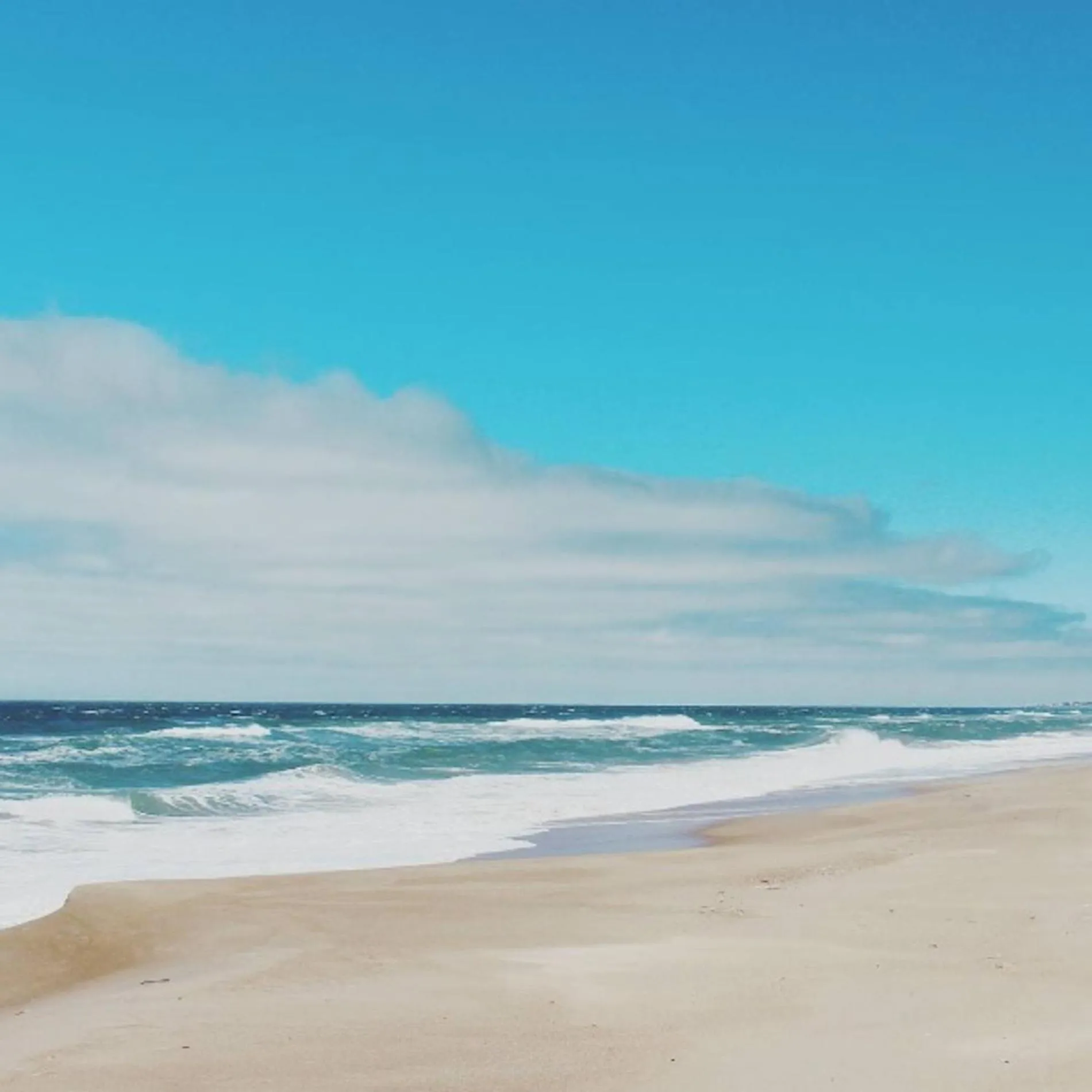 Activities in La Viuda de José Ignacio