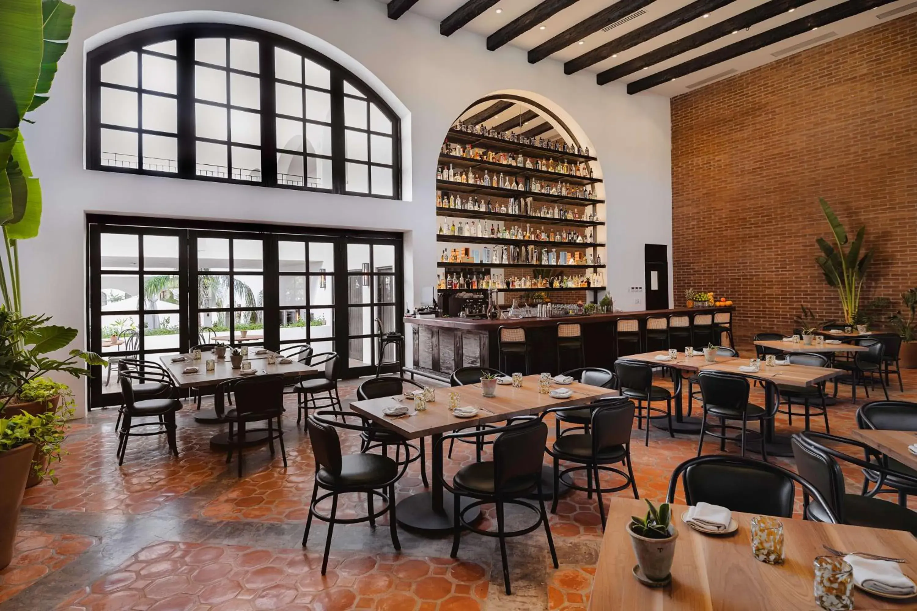 Lounge or bar in Tropicana Los Cabos, Tapestry Collection by Hilton Lounge or bar in Tropicana Los Cabos, Tapestry Collection by Hilton