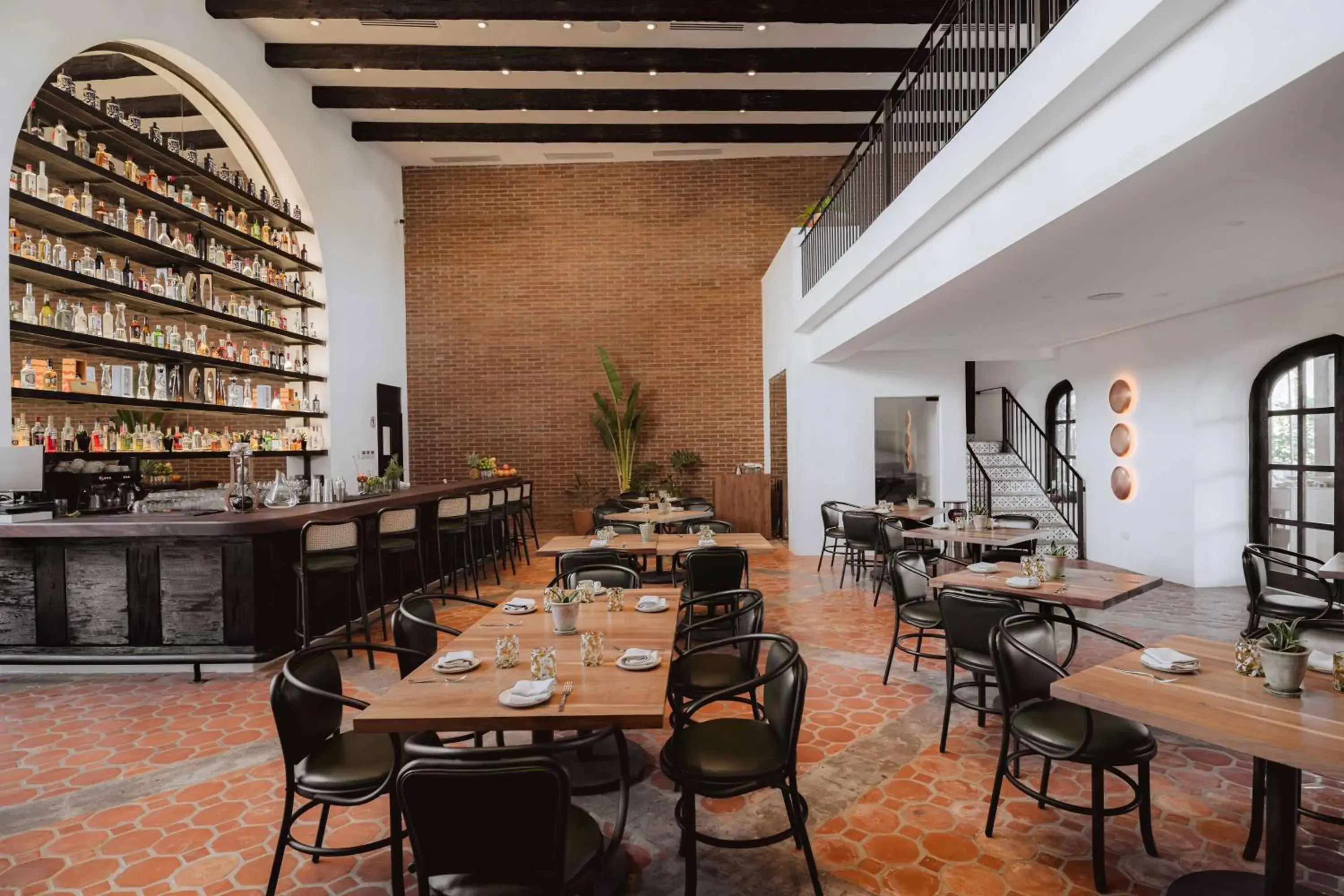 Lounge or bar in Tropicana Los Cabos, Tapestry Collection by Hilton Lounge or bar in Tropicana Los Cabos, Tapestry Collection by Hilton