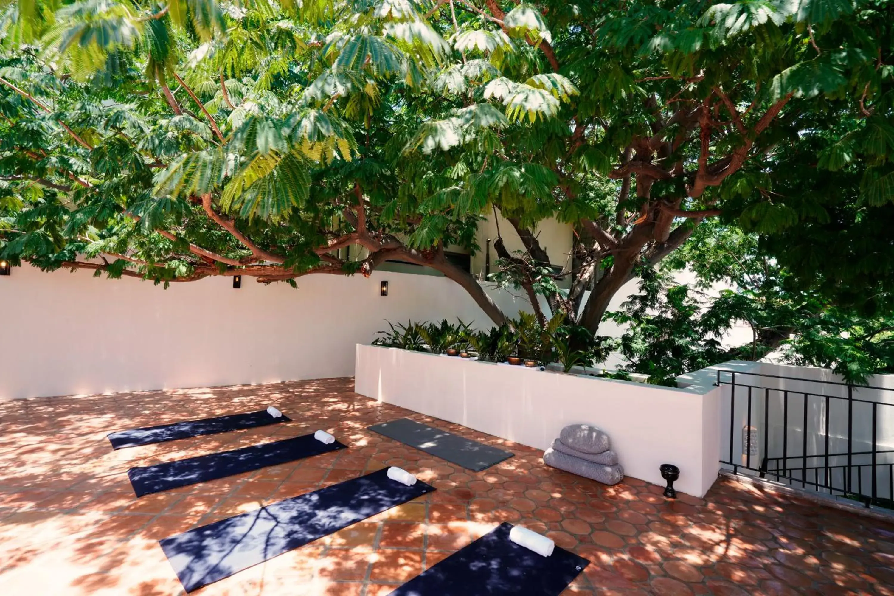 Spa and wellness centre/facilities in Tropicana Los Cabos, Tapestry Collection by Hilton Spa and wellness centre/facilities in Tropicana Los Cabos, Tapestry Collection by Hilton