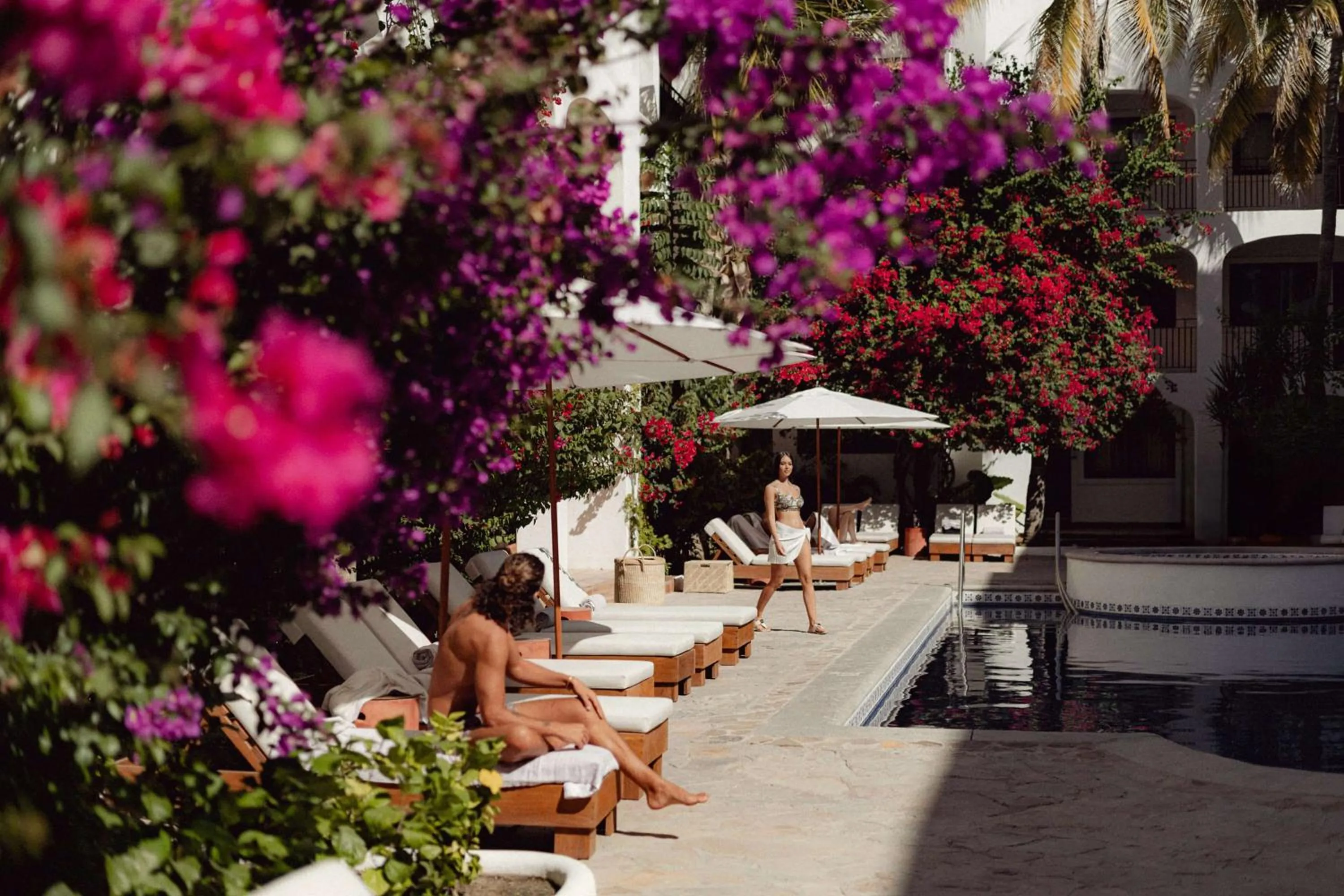 Pool view in Tropicana Los Cabos, Tapestry Collection by Hilton