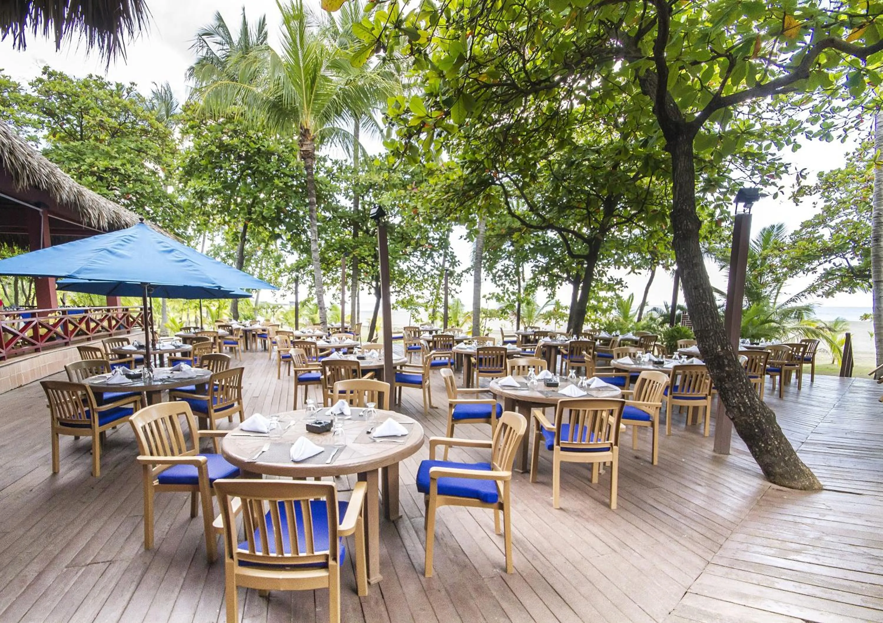 Restaurant/places to eat in Barceló Montelimar All Inclusive