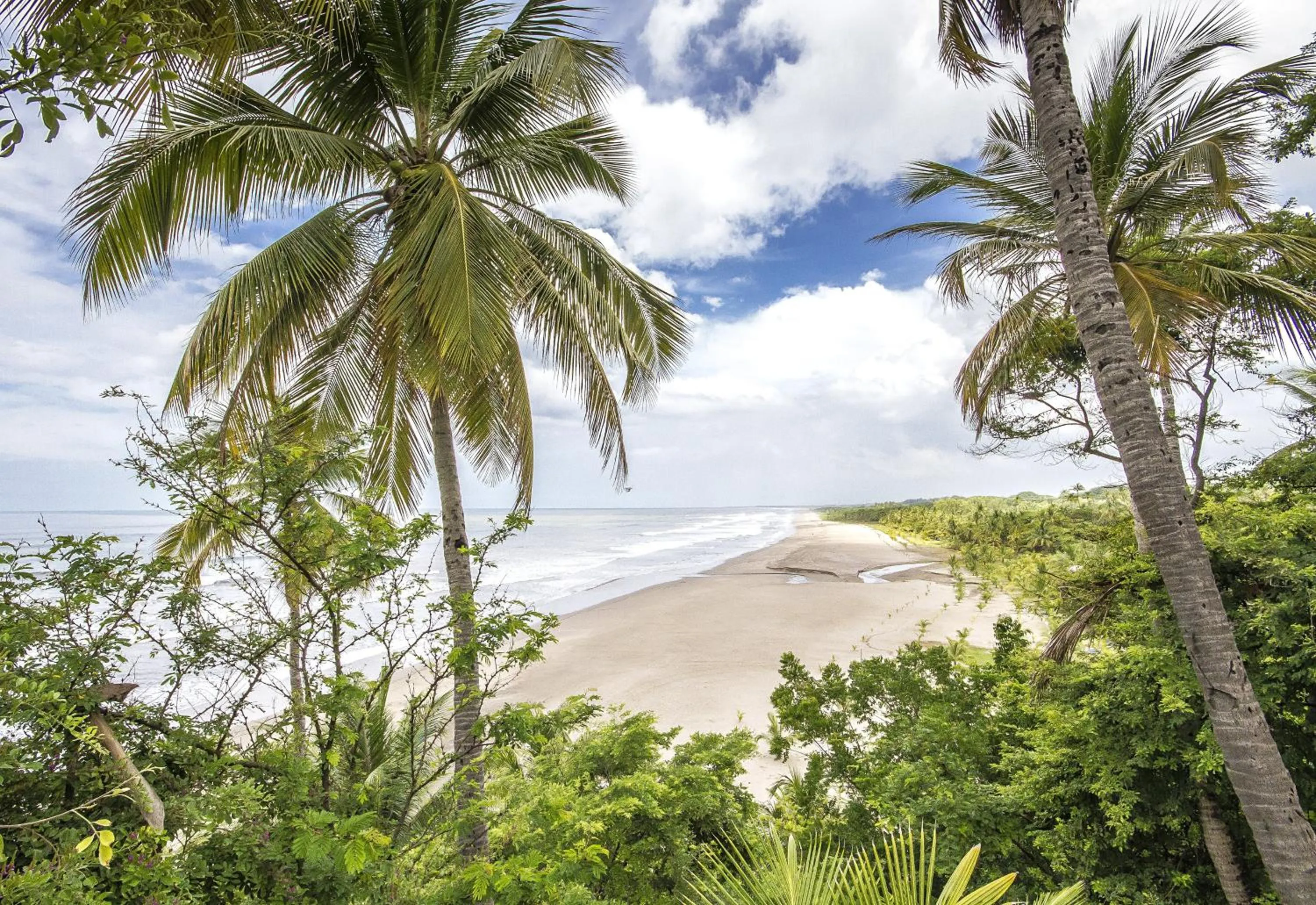 View (from property/room) in Barceló Montelimar All Inclusive