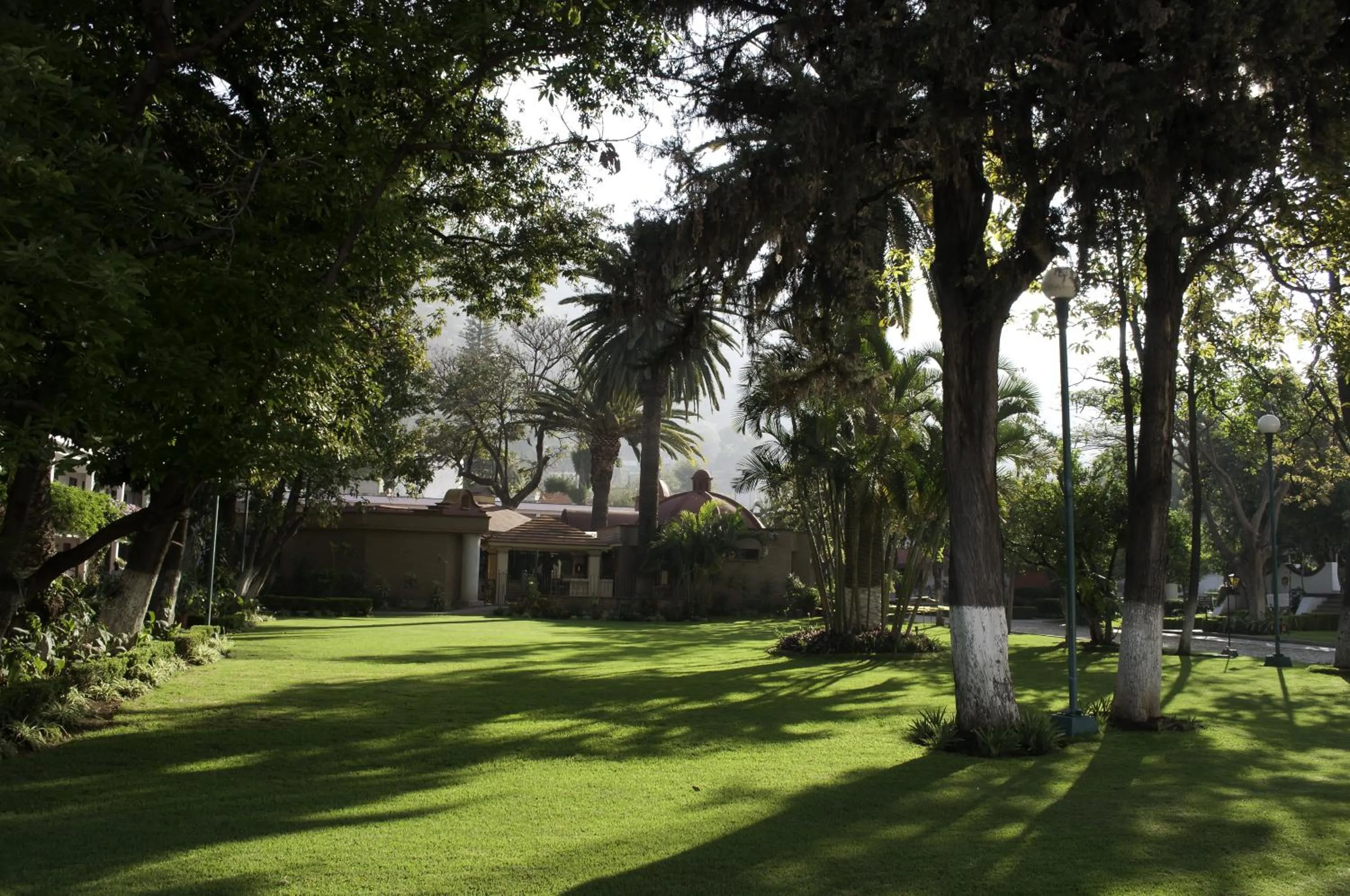 Garden in Hotel Los Olivos Spa