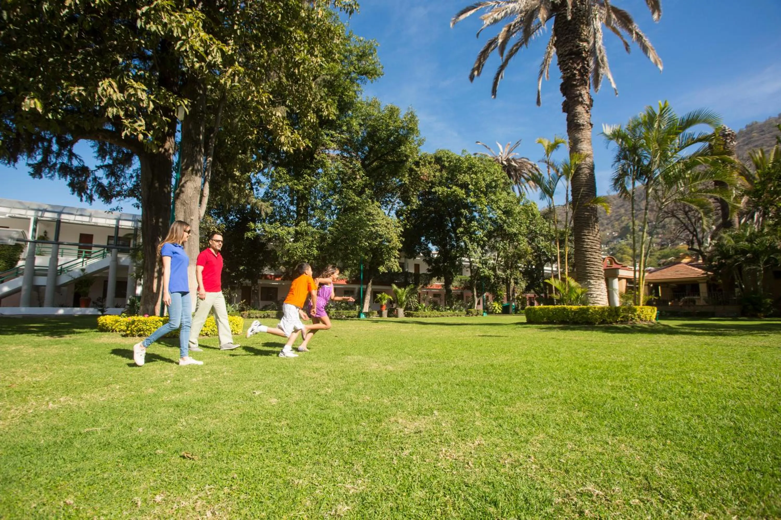 Garden in Hotel Los Olivos Spa