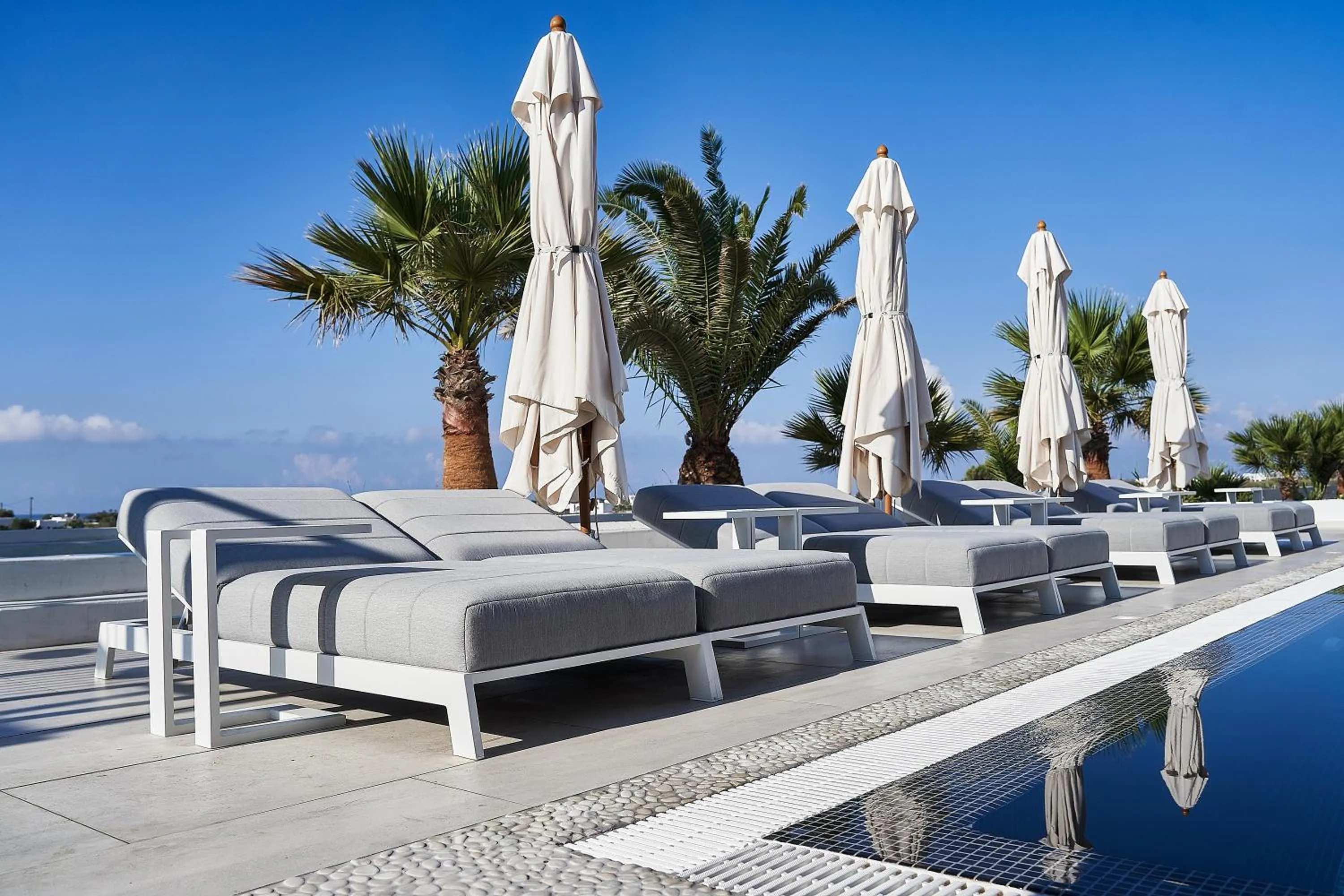 Swimming pool in Petri Suites