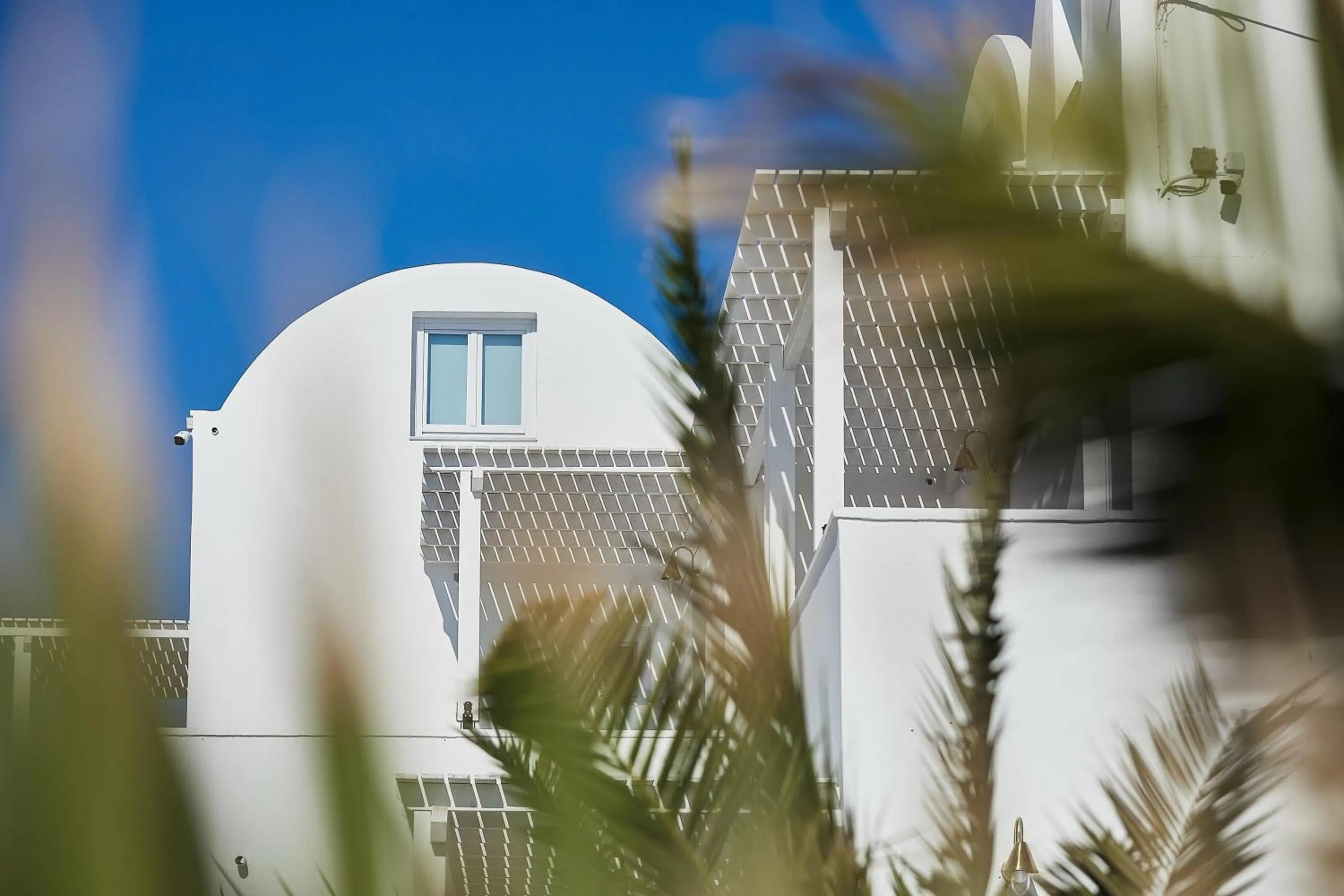 Property building in Petri Suites