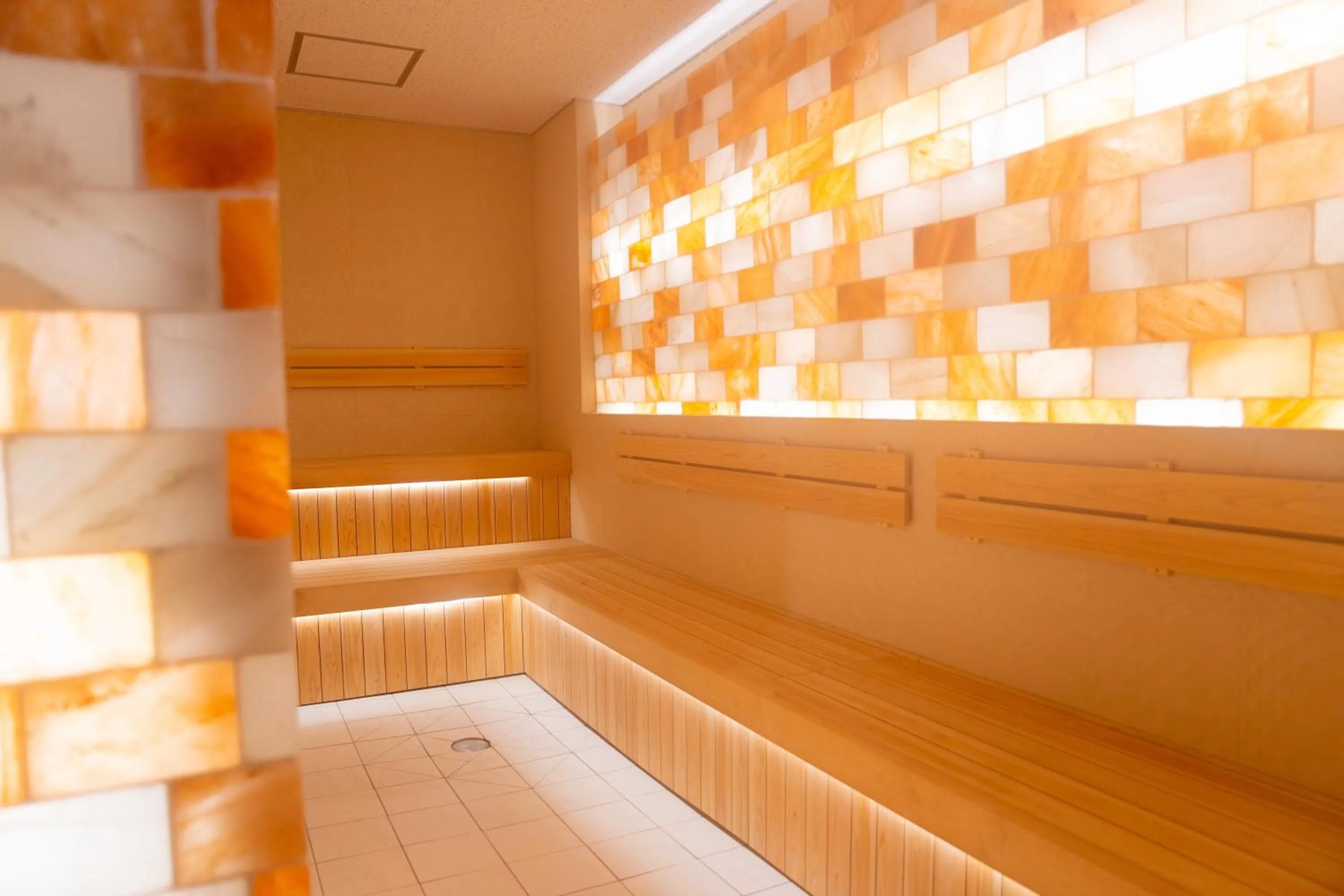 Sauna in Hotel Green Plaza Hakuba