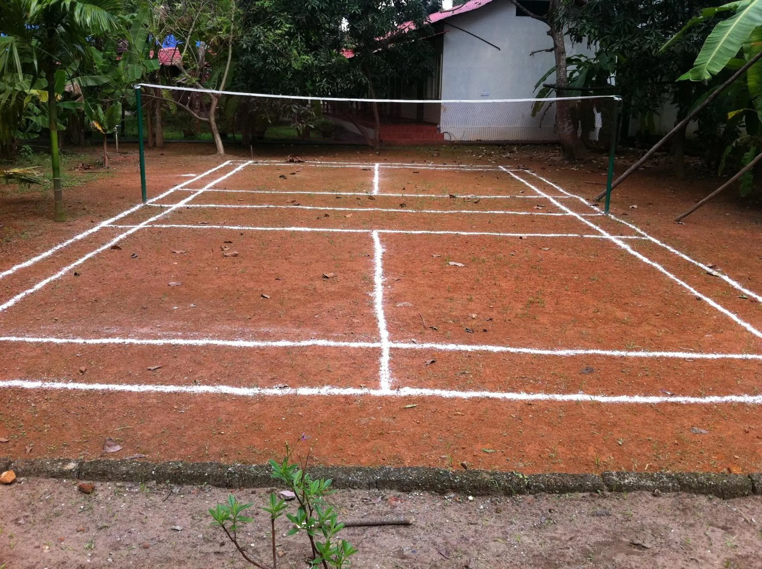 Area and facilities in Palm Grove Service Villa