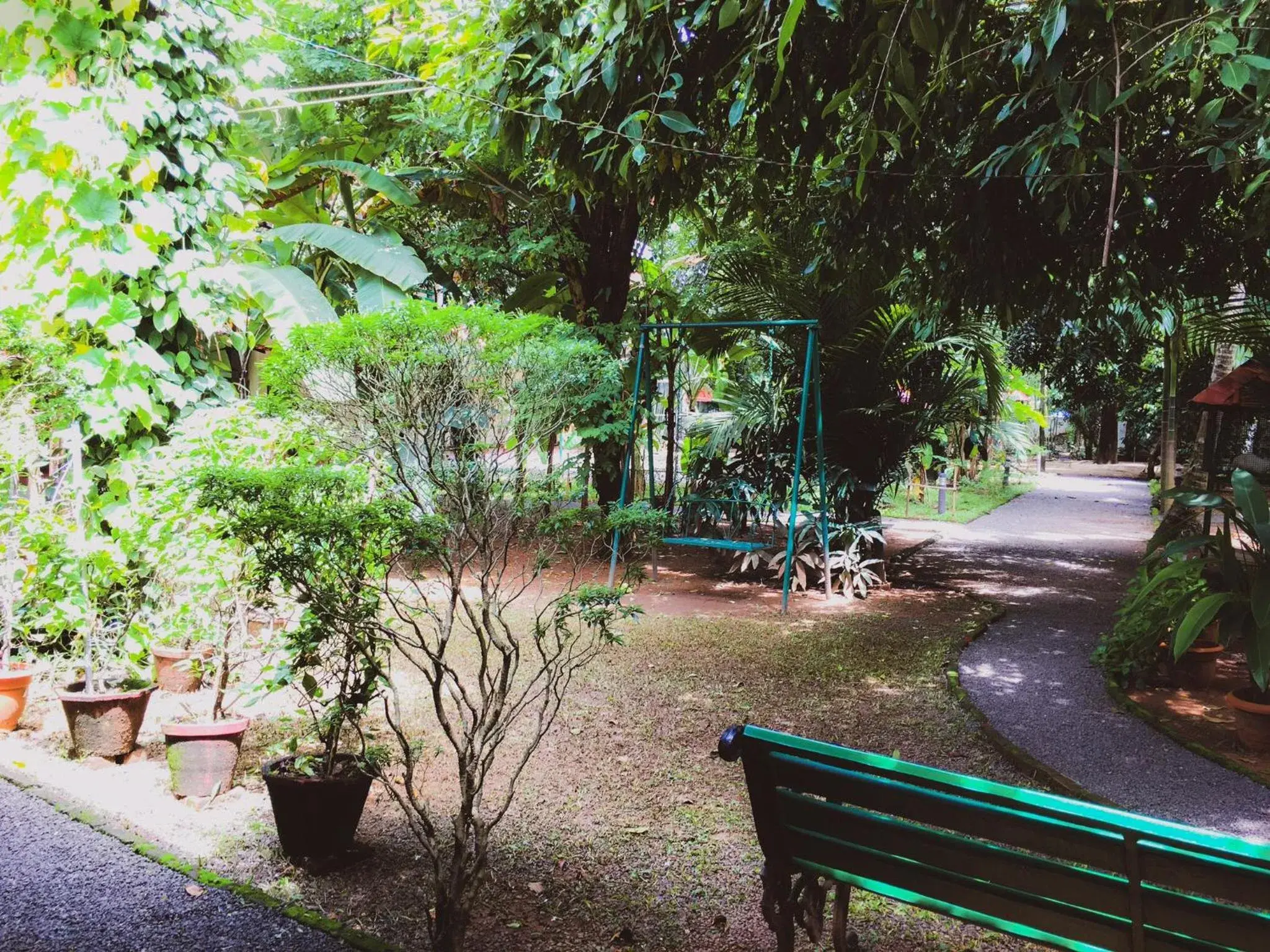 Palm Grove Service Villa Palm Grove Service Villa