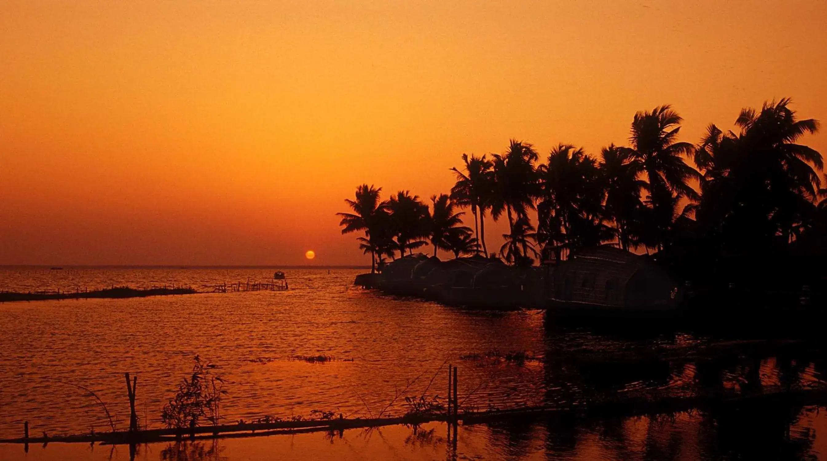 View (from property/room) in Kumarakom Lake Resort View (from property/room) in Kumarakom Lake Resort