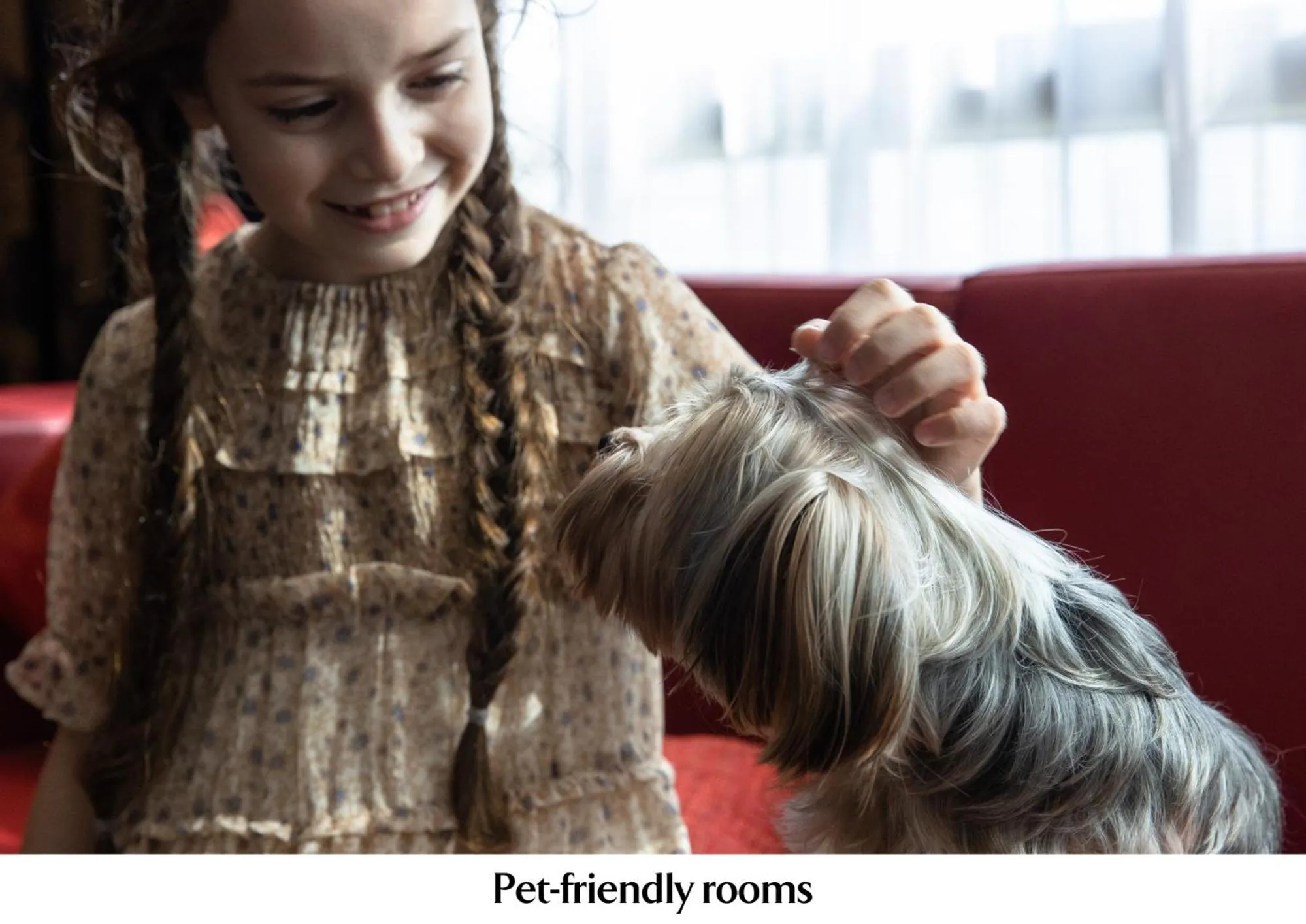 Pets in Jumeirah Creekside Dubai