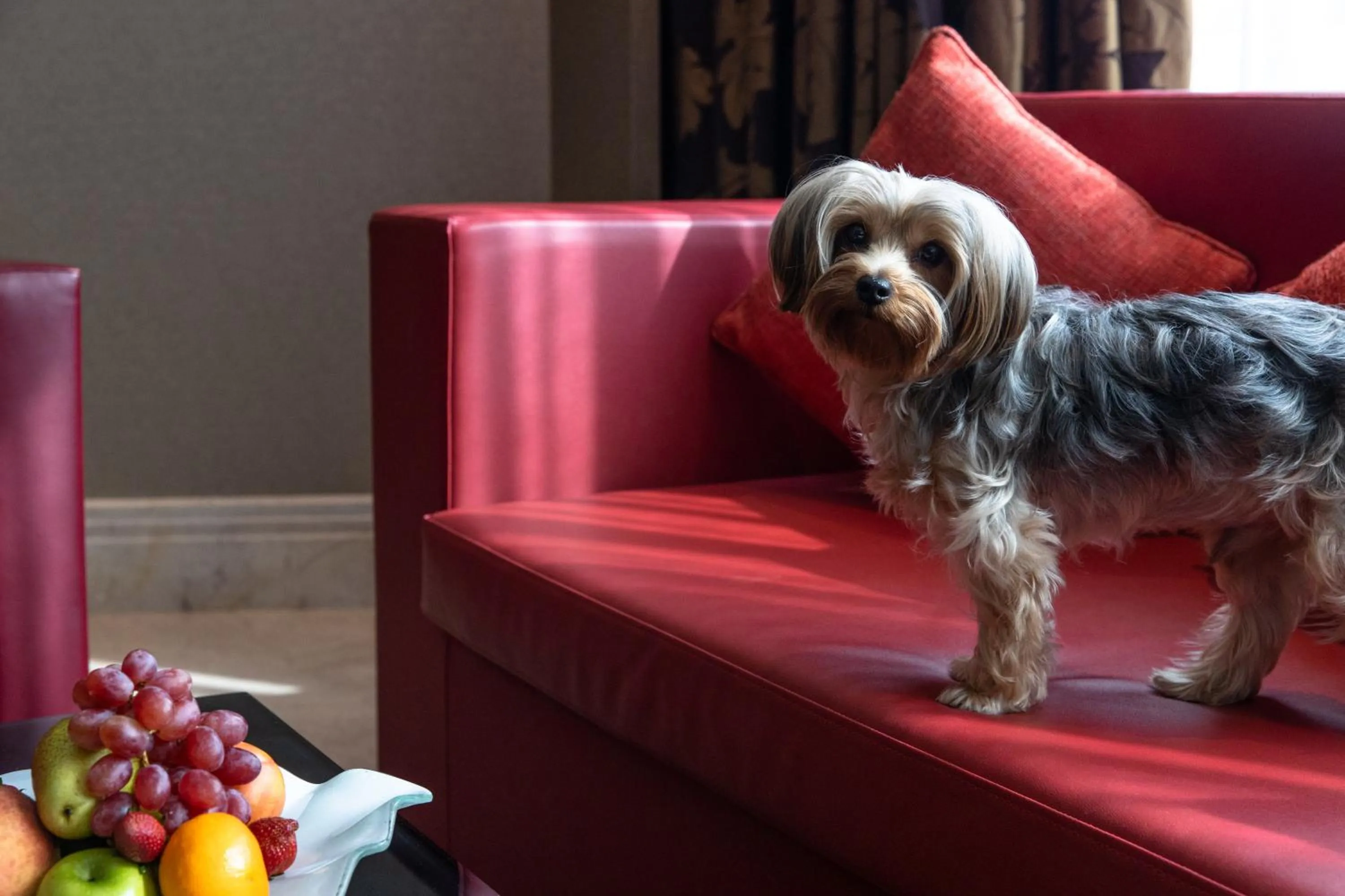 Living room in Jumeirah Creekside Dubai