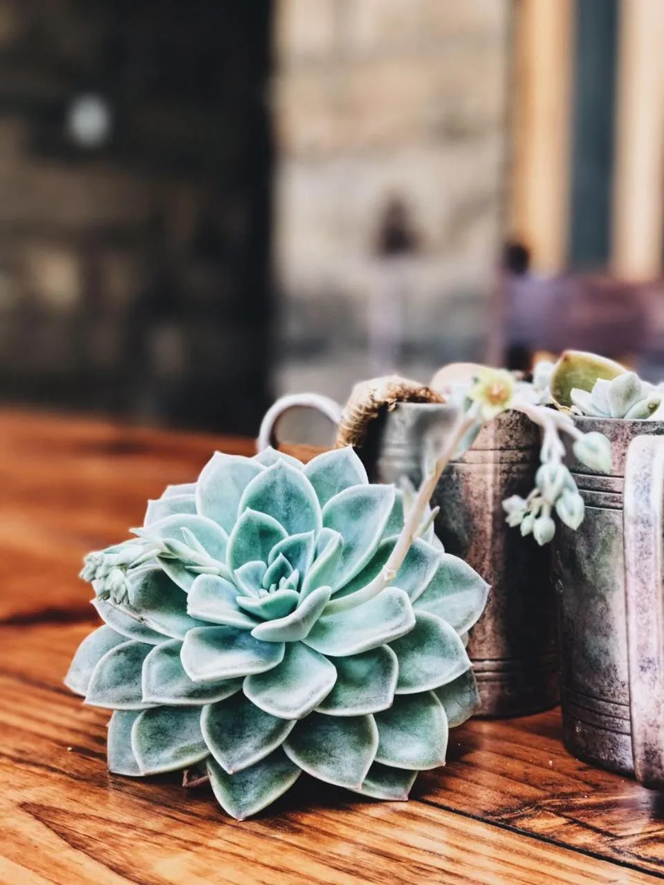 Makoadi Farms Guesthouse