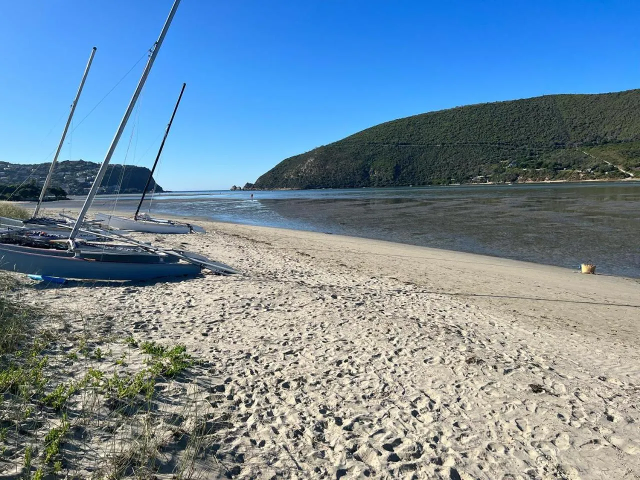 Natural landscape in One on Bollard