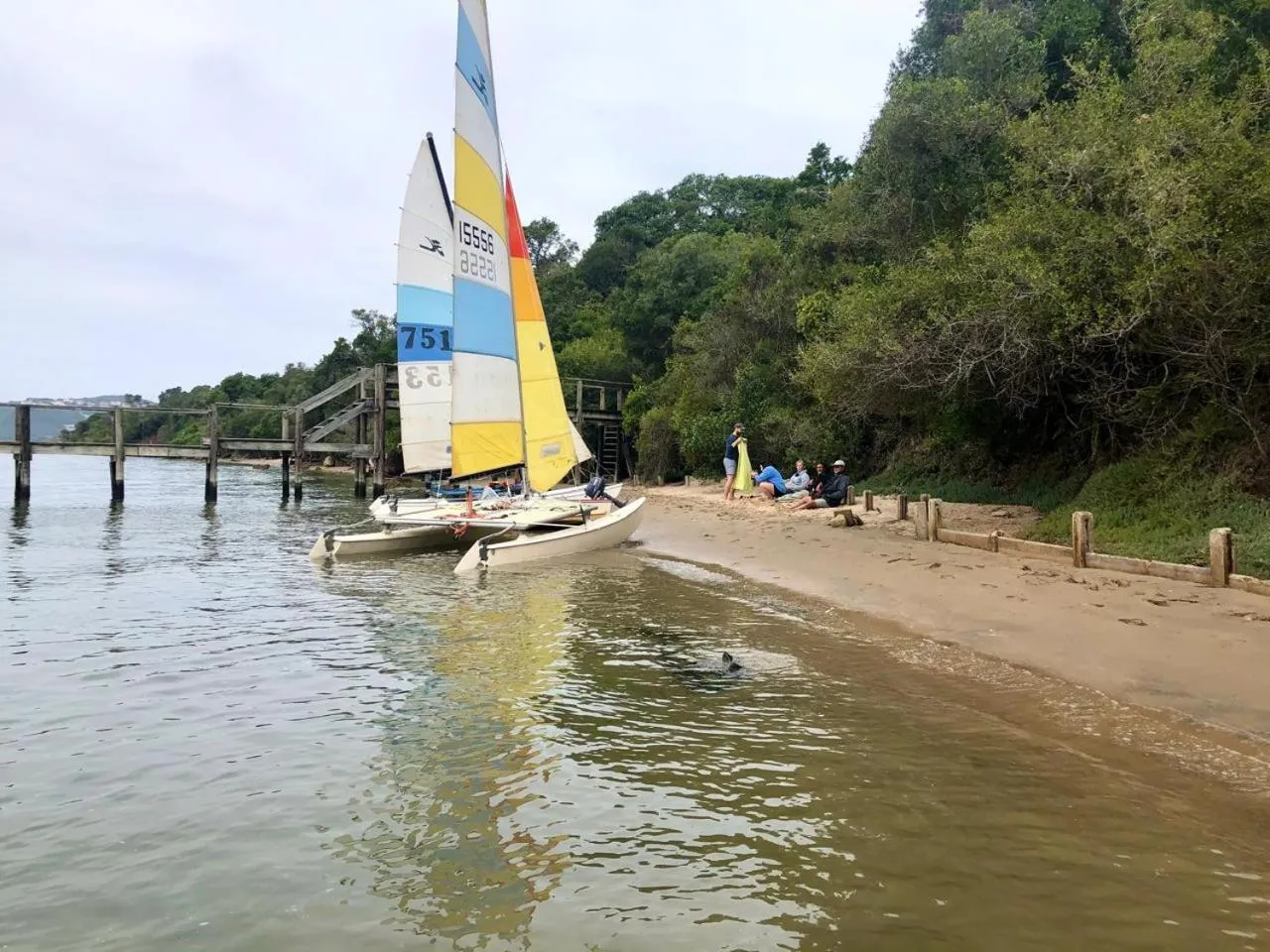 Day in One on Bollard