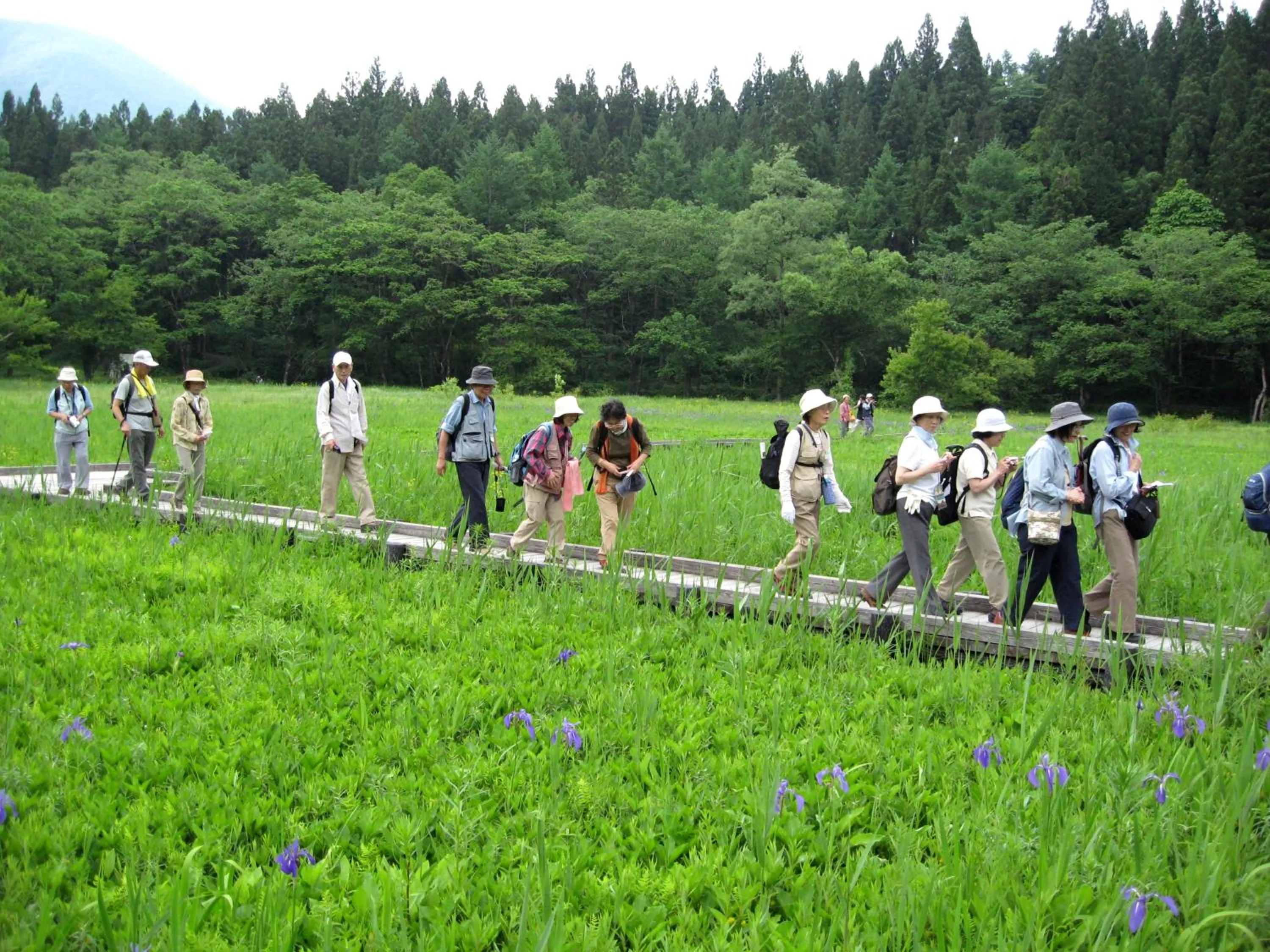 Hiking in Hotel Sunny Valley